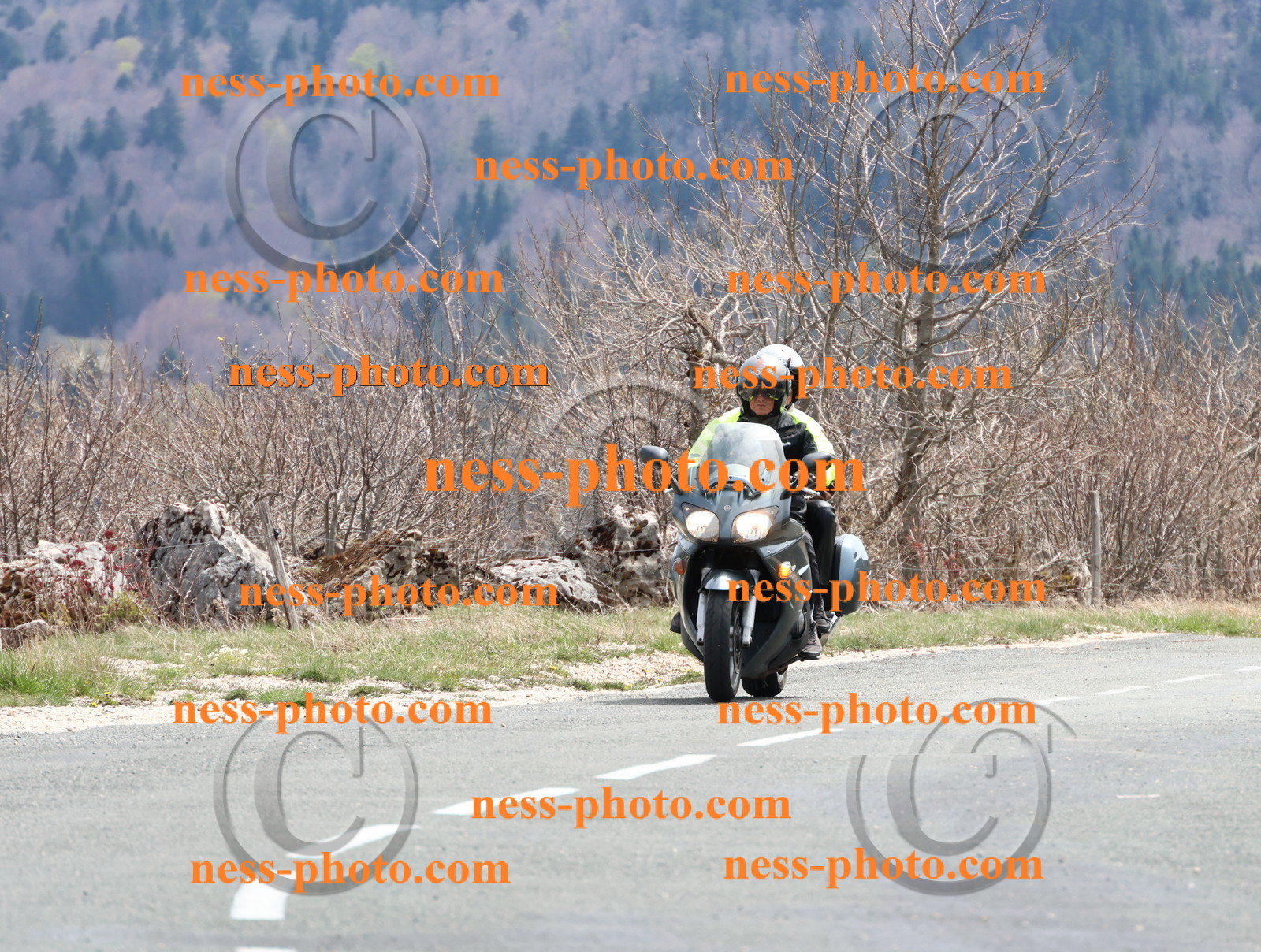 Col  du Grand Colombier (45).JPG