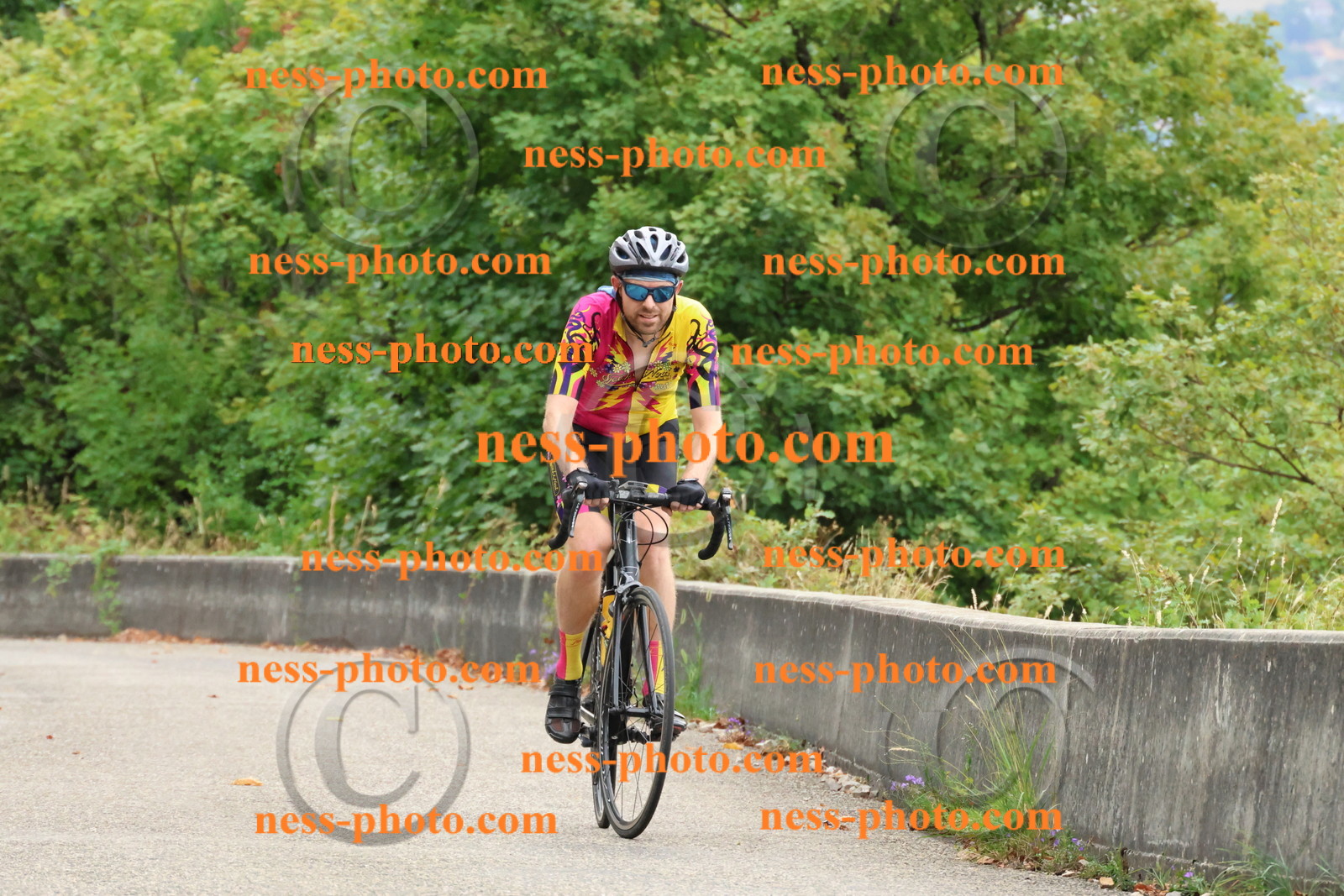 Col du Grand Colombier (59).JPG