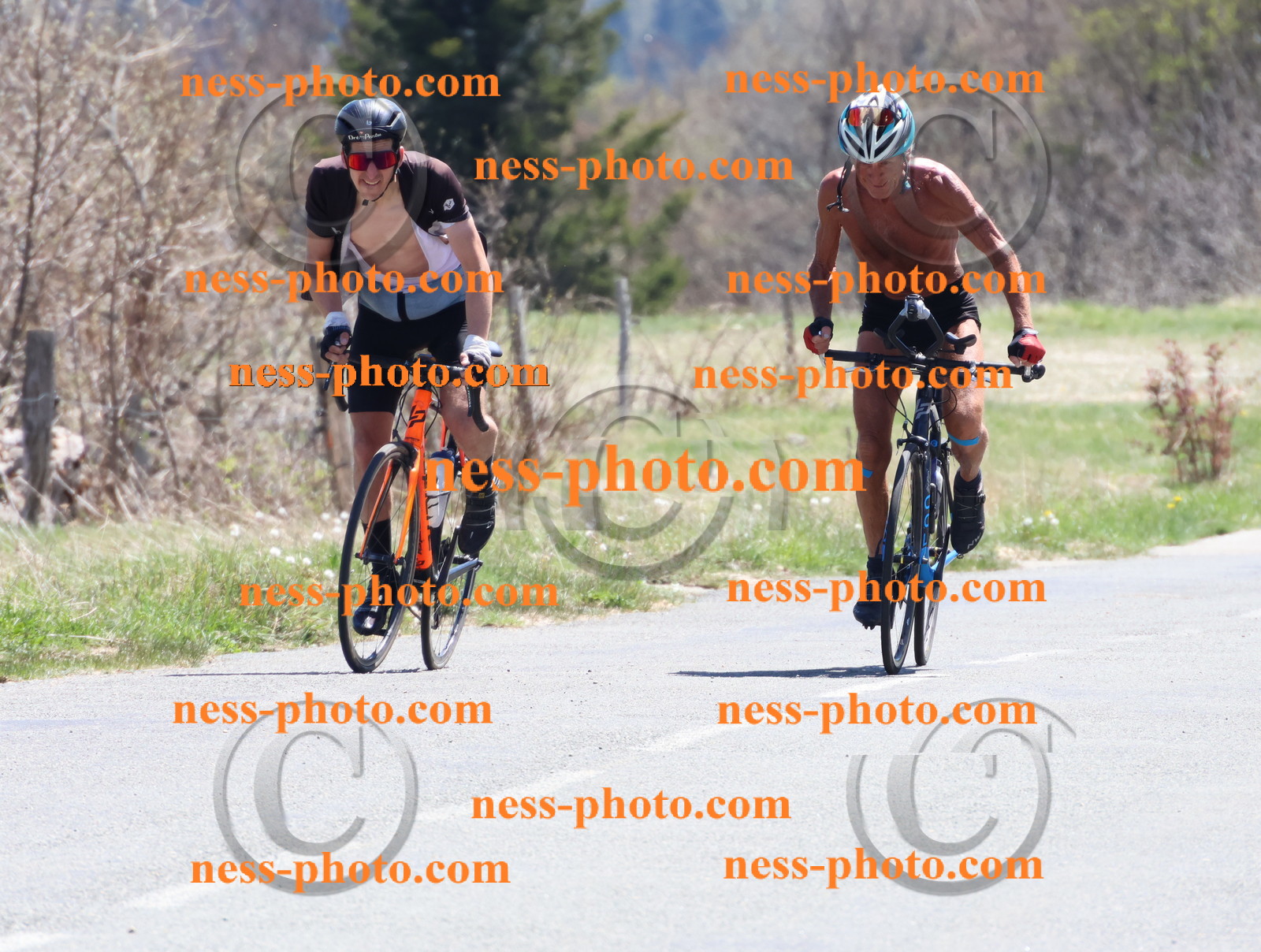 Col du Grand Colombier (798).JPG