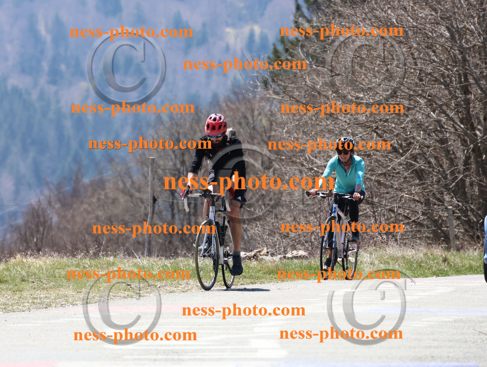 Col du Grand Colombier (223).JPG