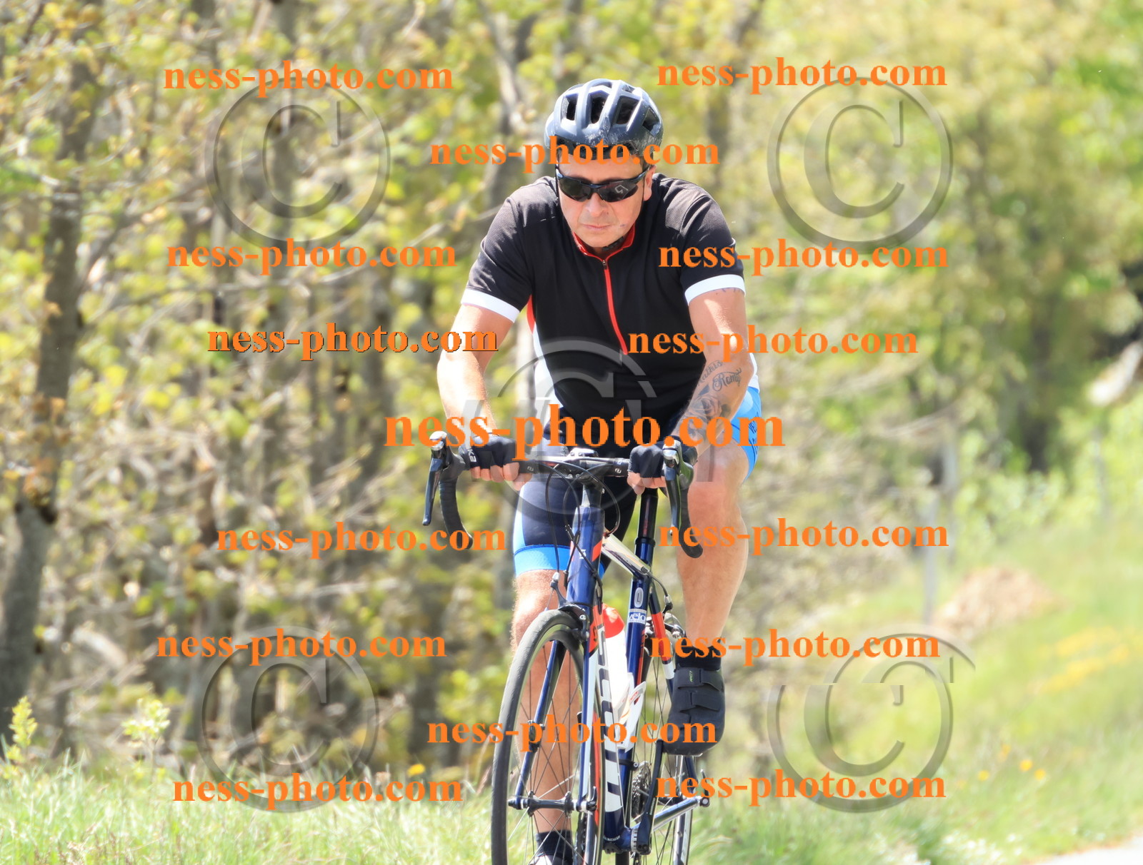 Col du Grand Colombier (235).JPG