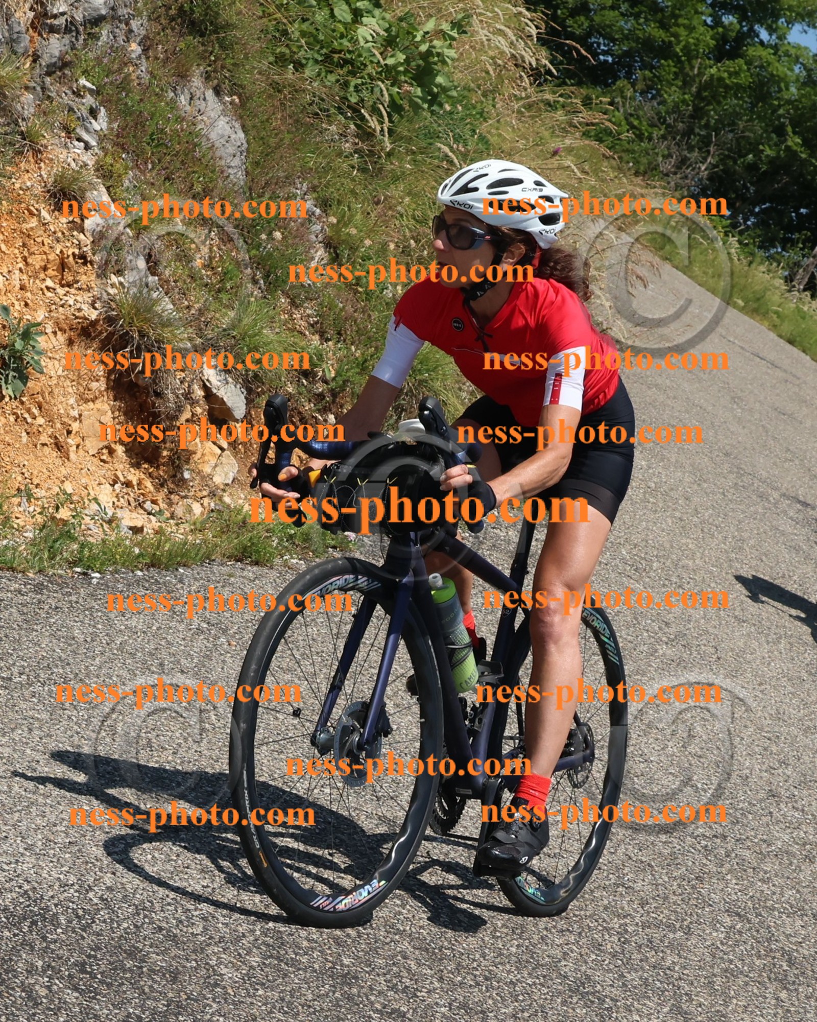 Col du Grand Colombier (495).JPG