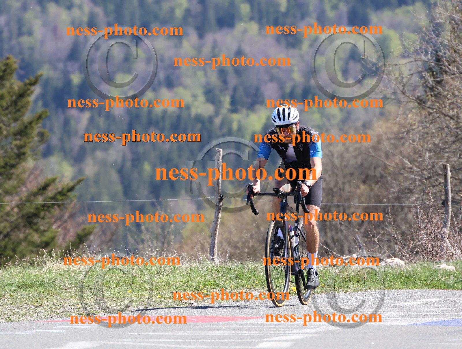 Col du Grand Colombier (1087).JPG