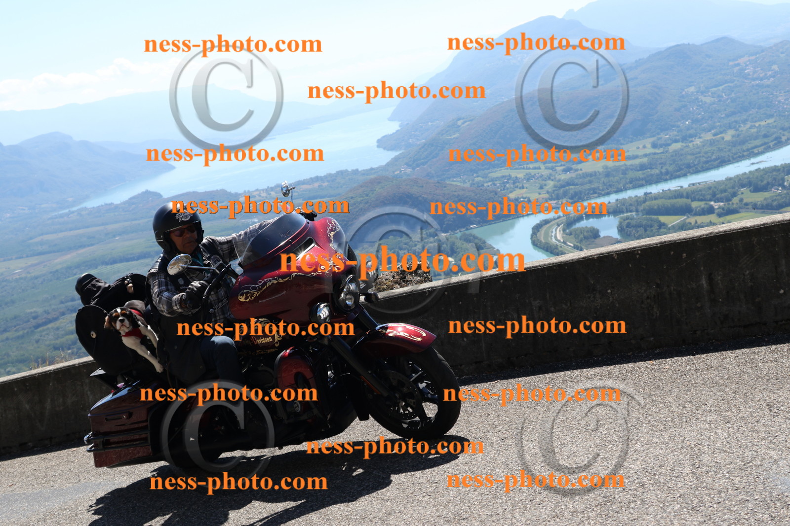 Col du Grand Colombier (263).JPG