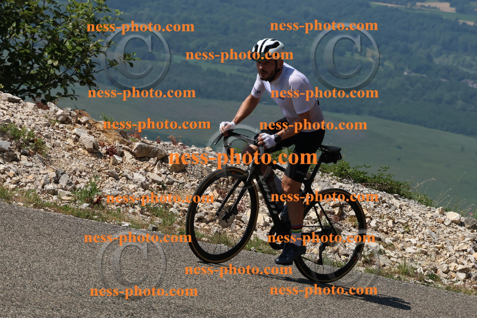 Col du Grand Colombier (365).JPG