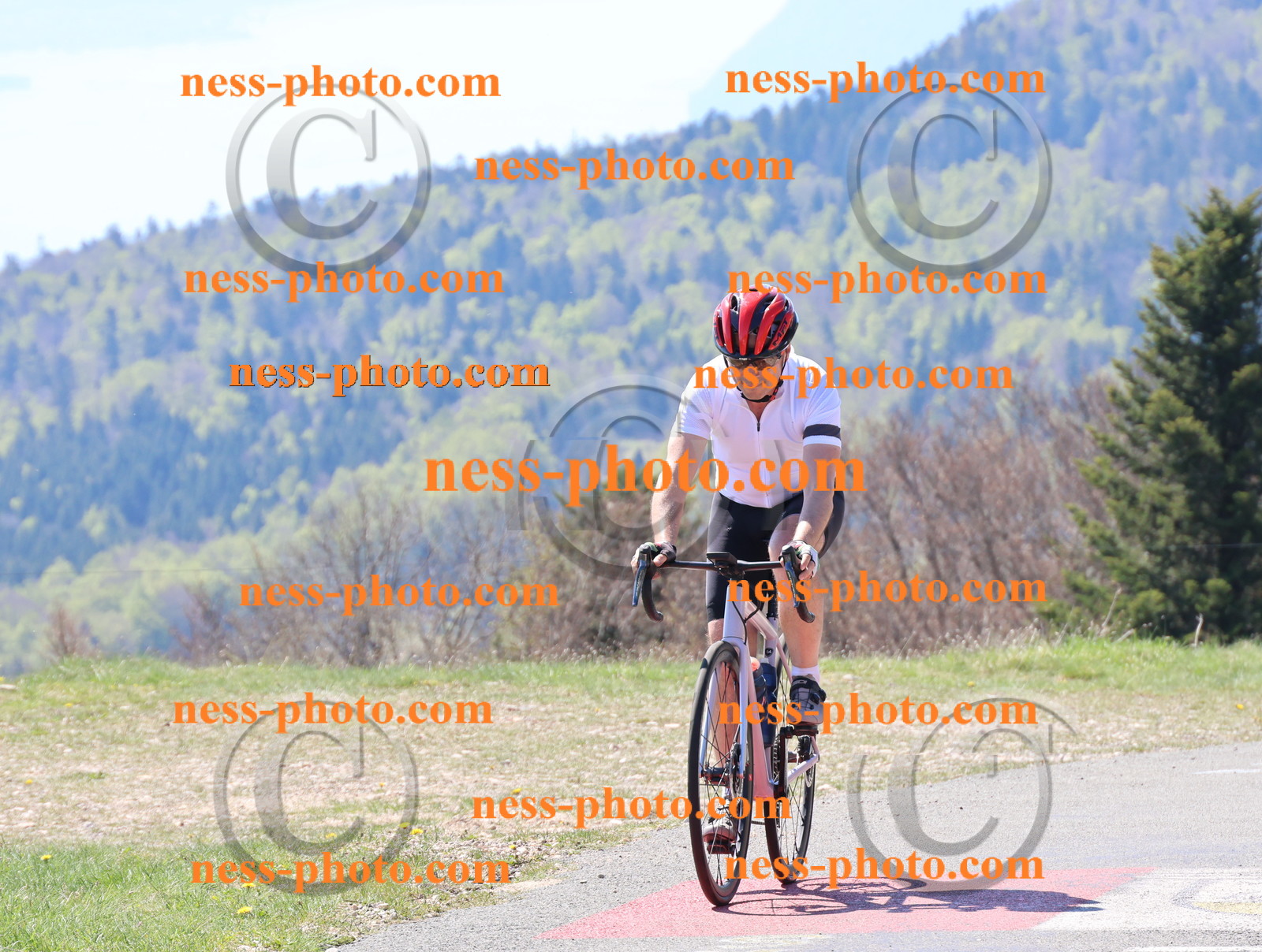 Col du Grand Colombier (150).JPG