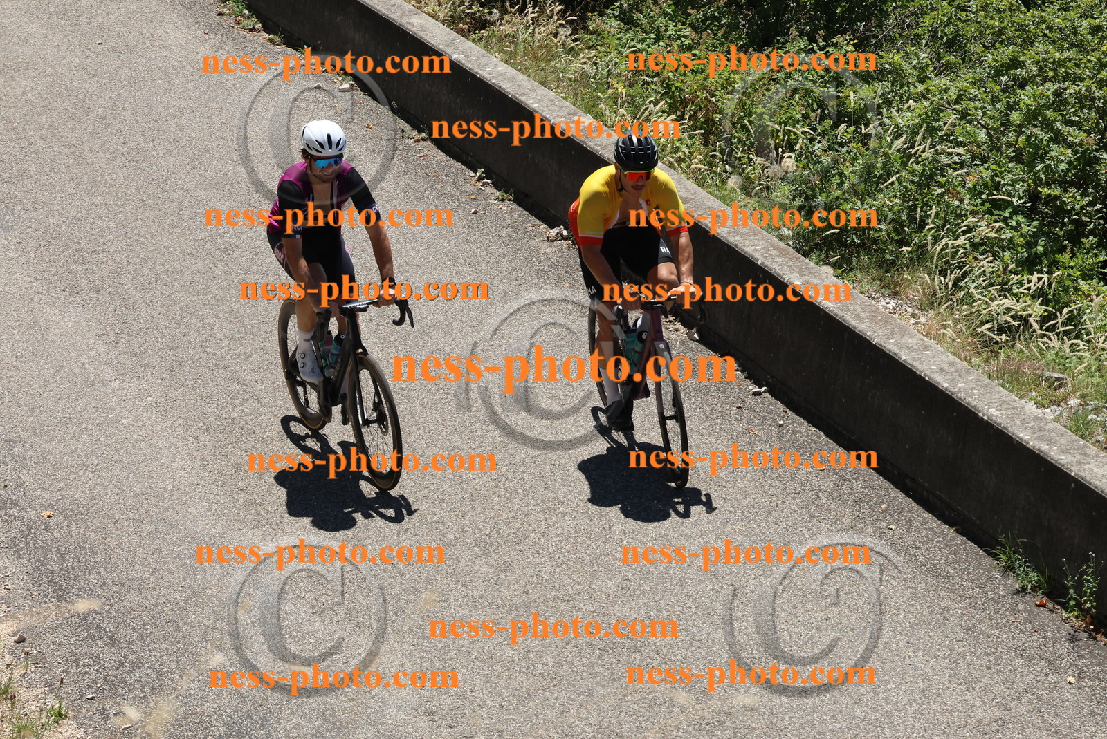 Col du Grand Colombier (562).JPG