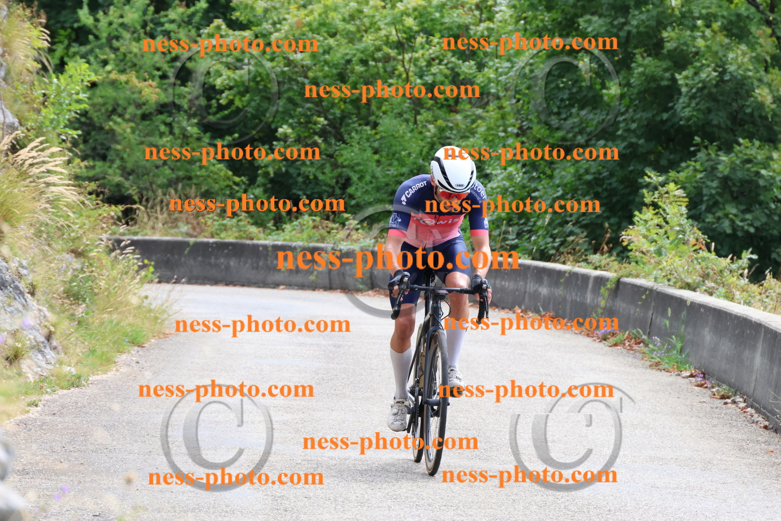 Col du Grand Colombier (225).JPG