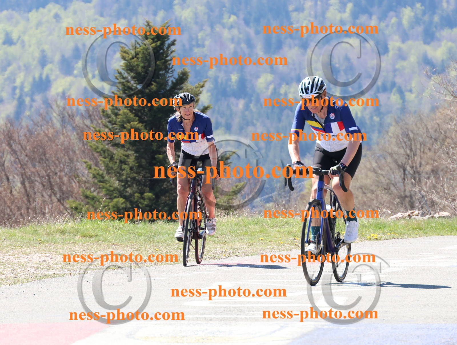 Col du Grand Colombier (135).JPG