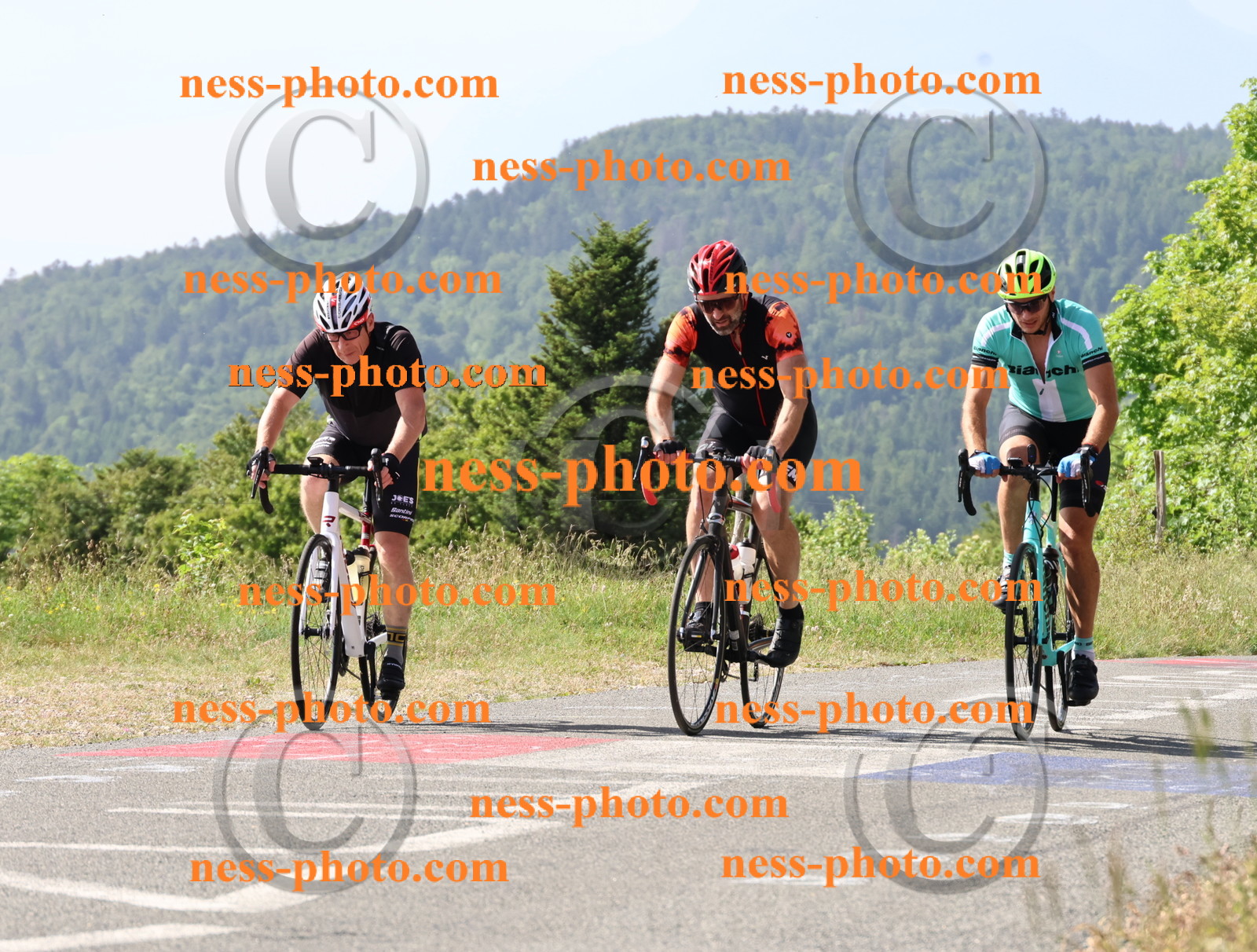 Col du grand Colombier (423).JPG