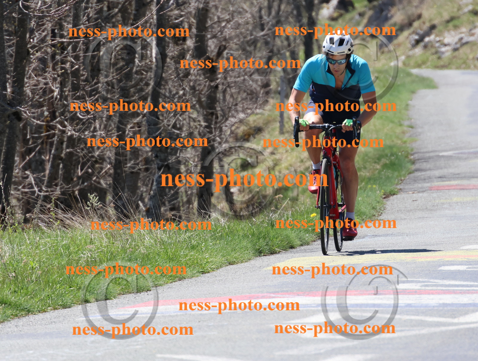 Col du Grand Colombier (315).JPG