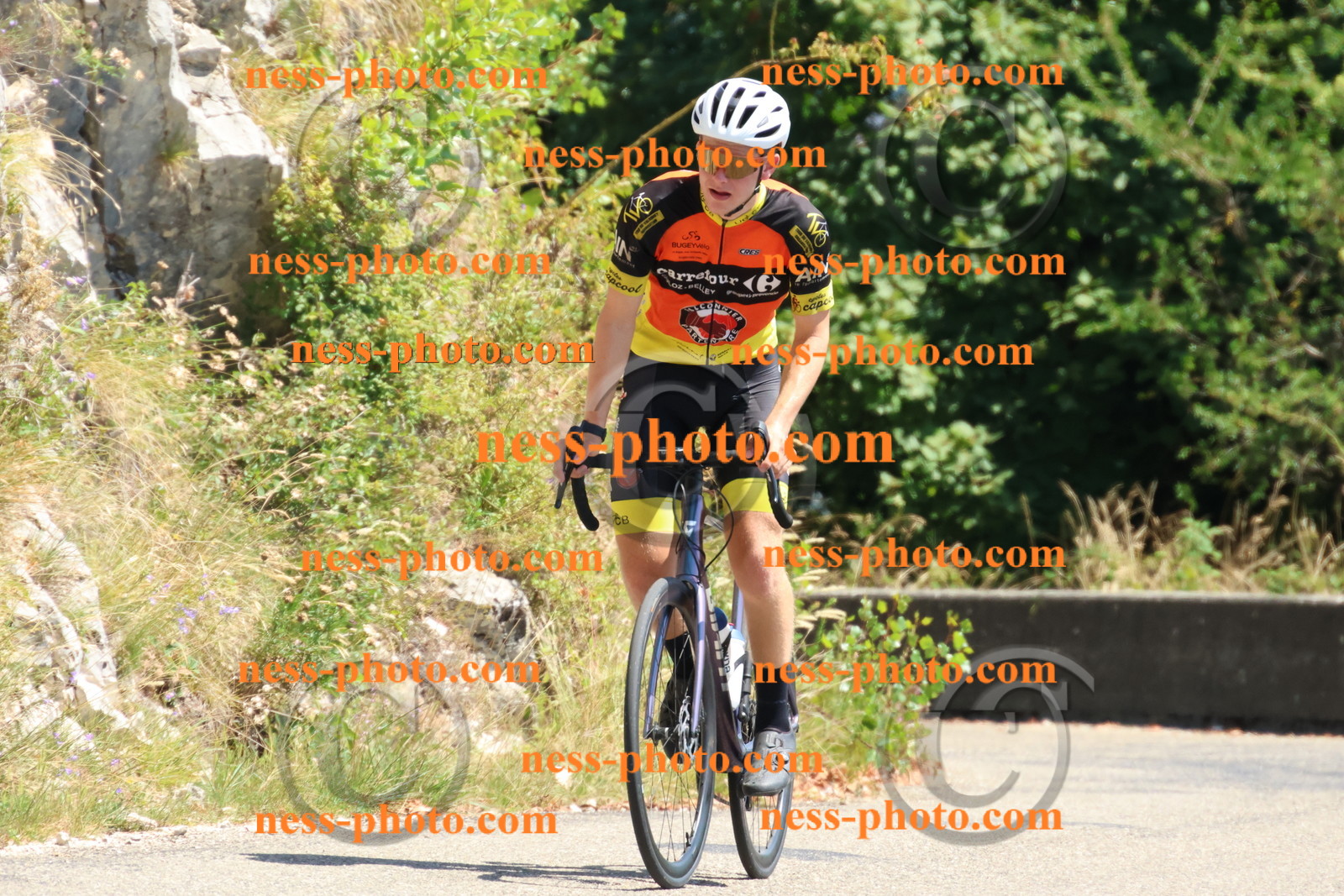 Col du Grand Colombier (530).JPG