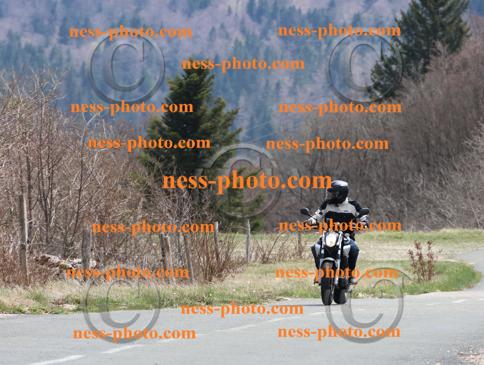 Col  du Grand Colombier (57).JPG