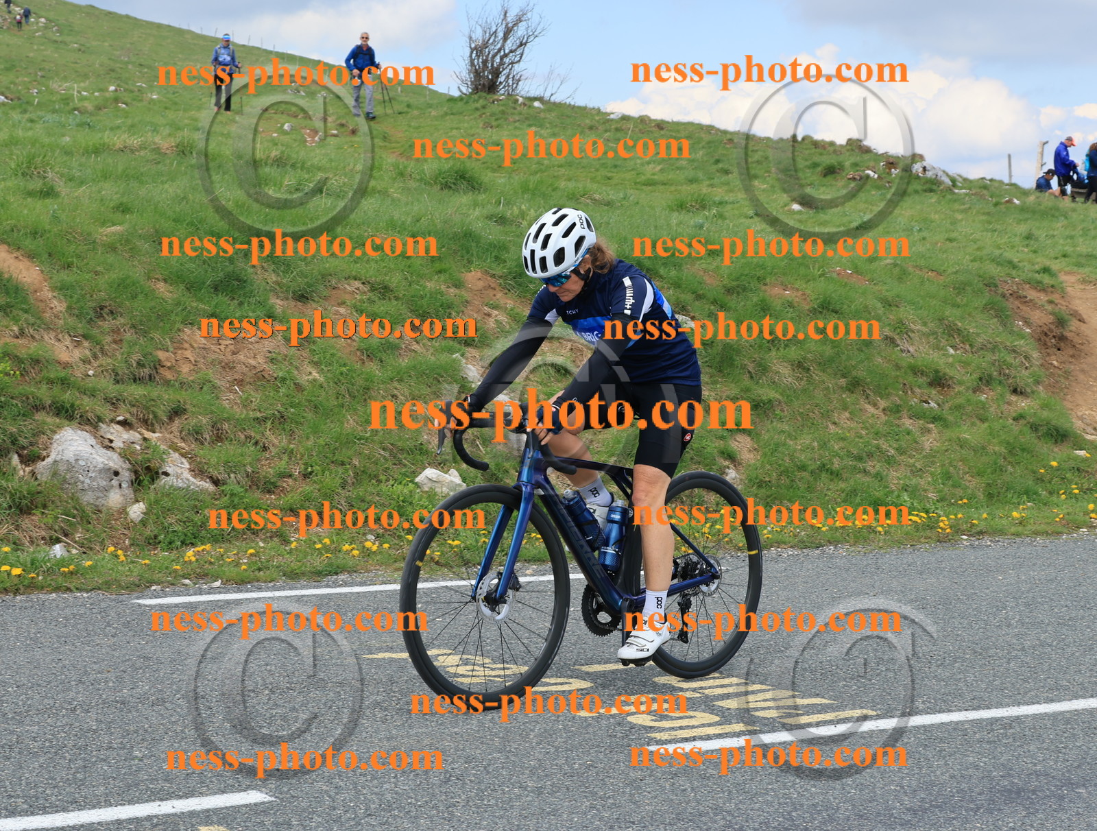 Col du Grand Colombier (3074).JPG