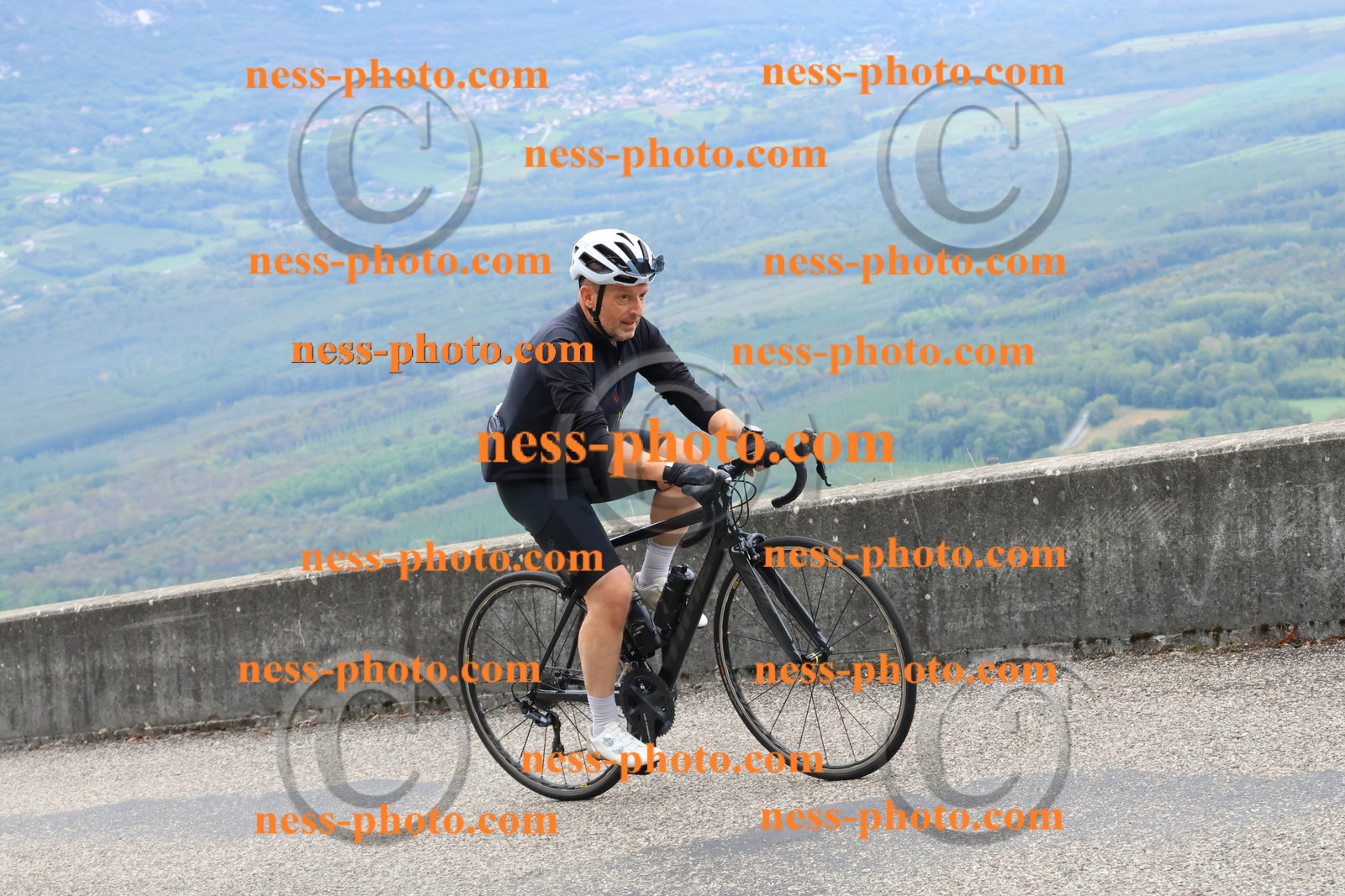 Col du Grand Colombier (1242).JPG