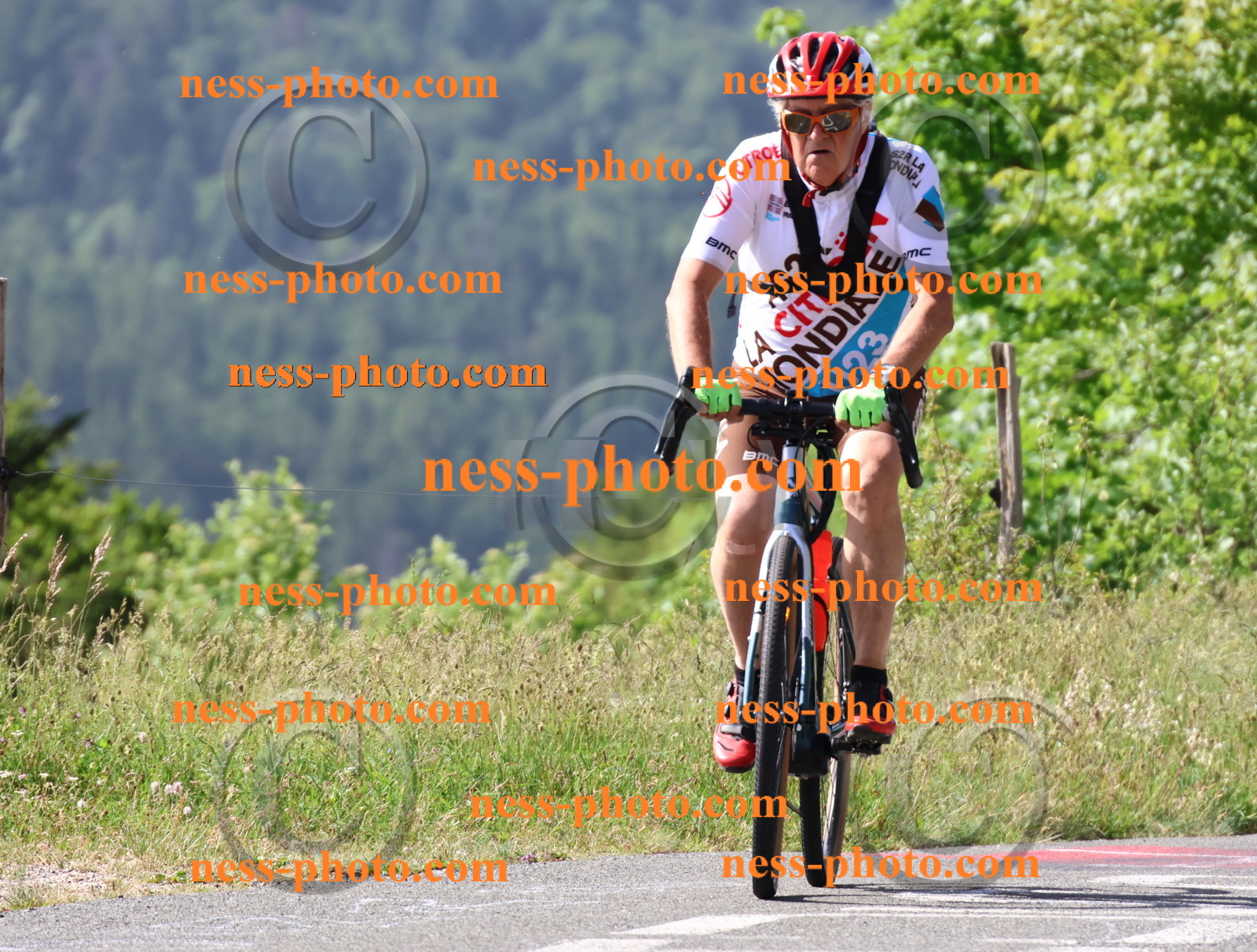 Col du grand Colombier (312).JPG