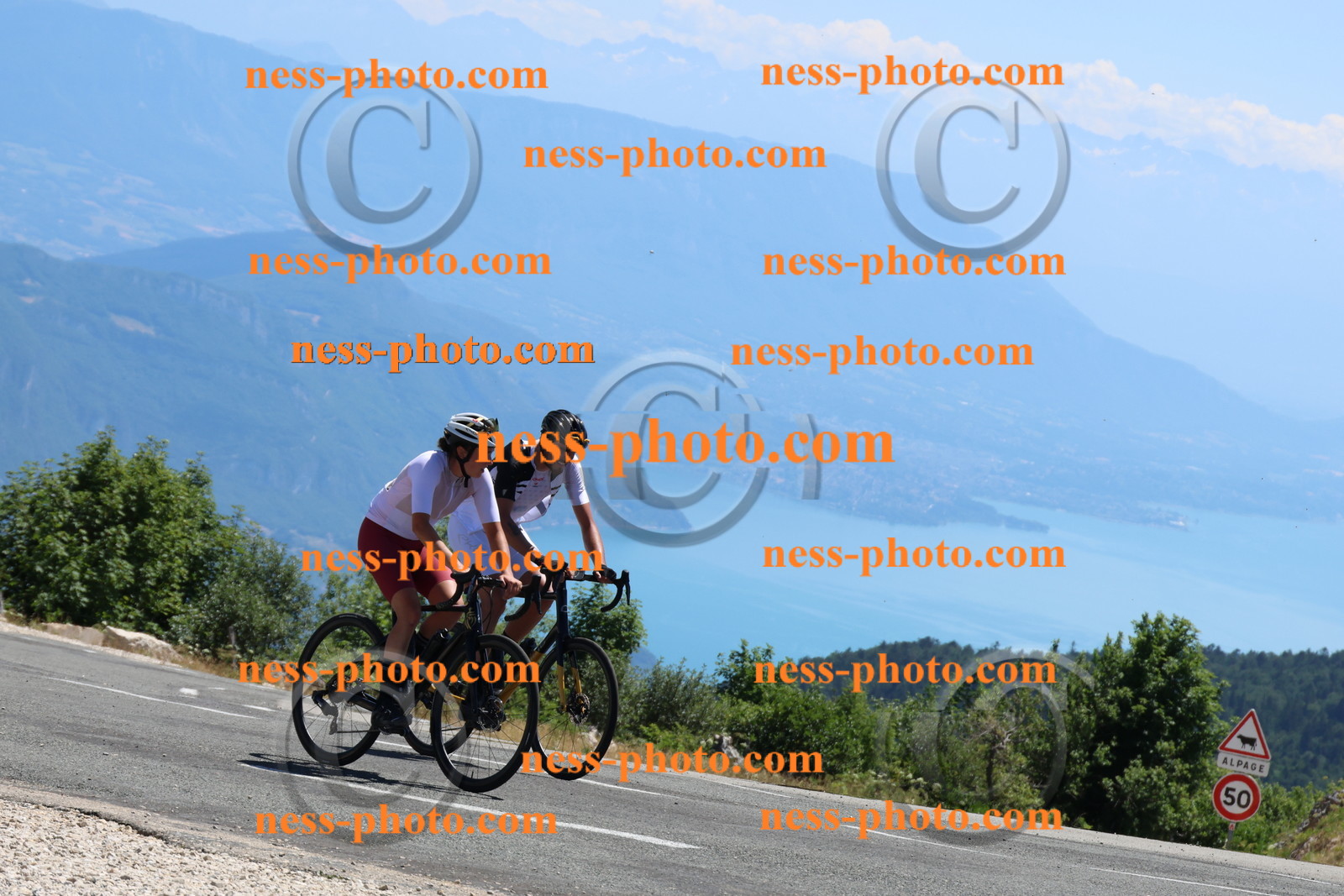 Col du Grand colombier (233).JPG