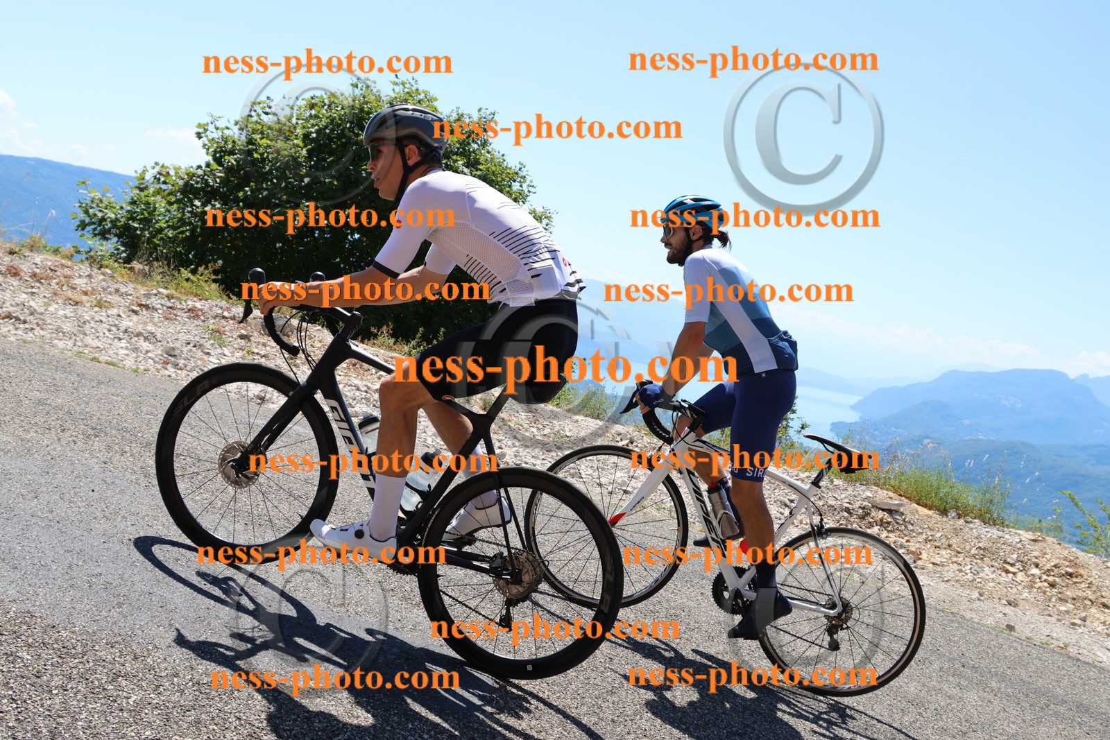 Col du Grand Colombier (2535).JPG