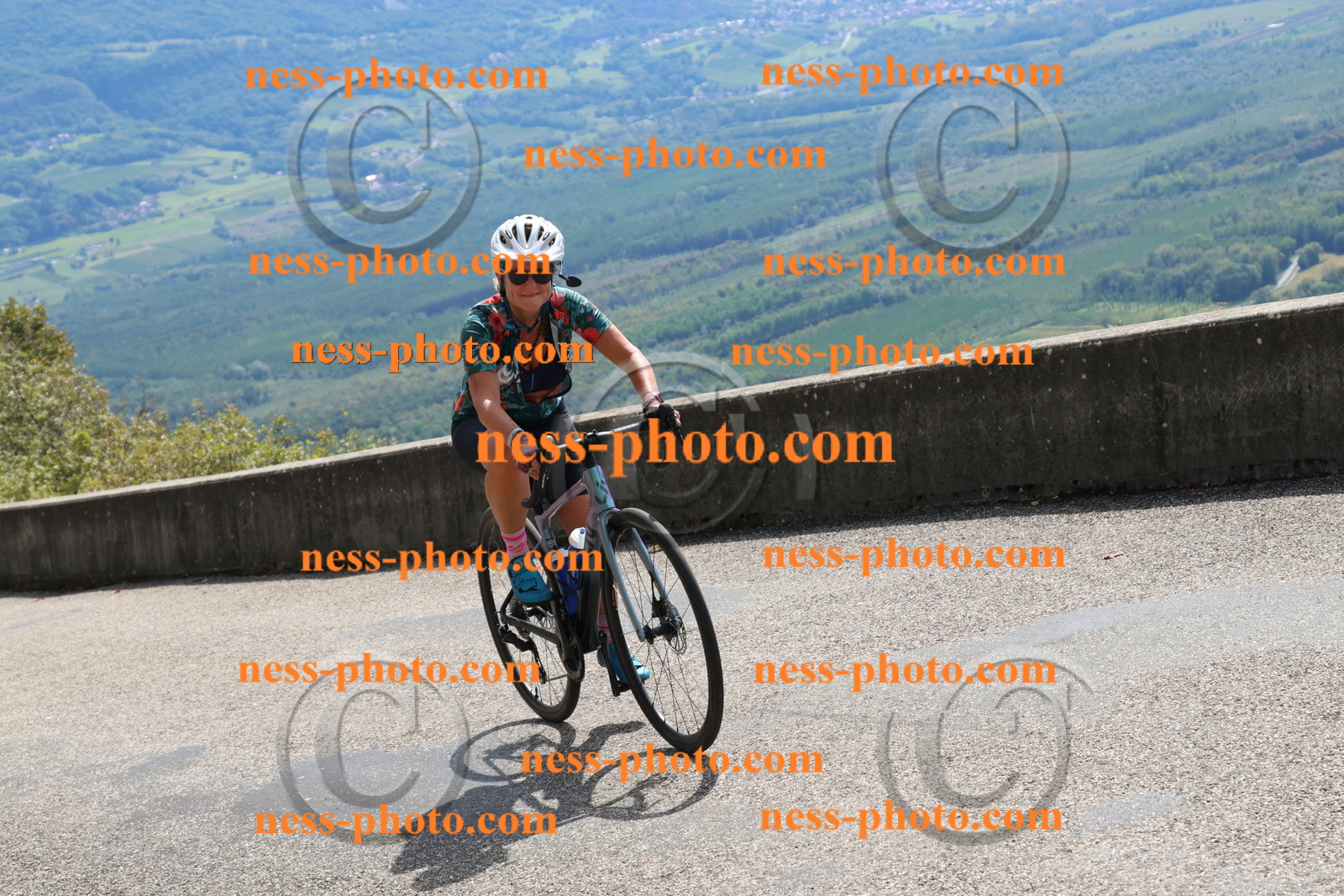 Col du Grand Colombier (492).JPG