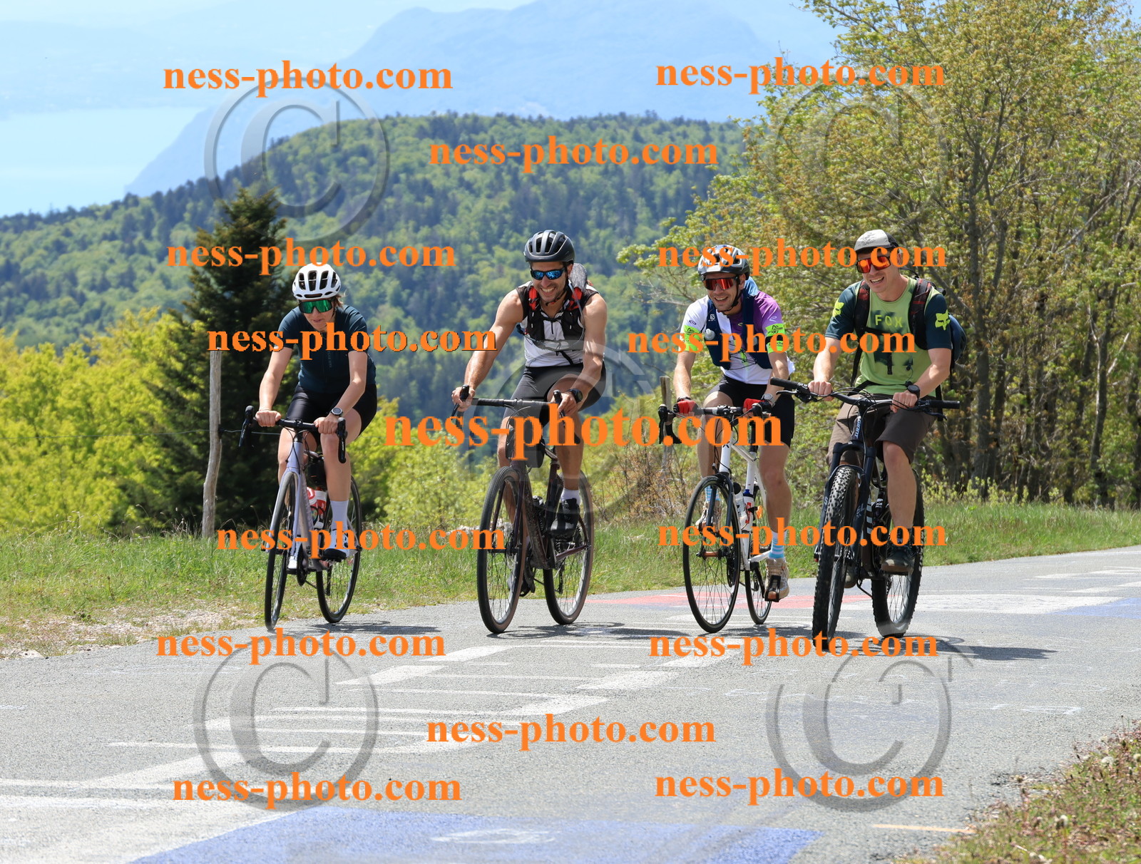 Col du Grand Colombier (278).JPG