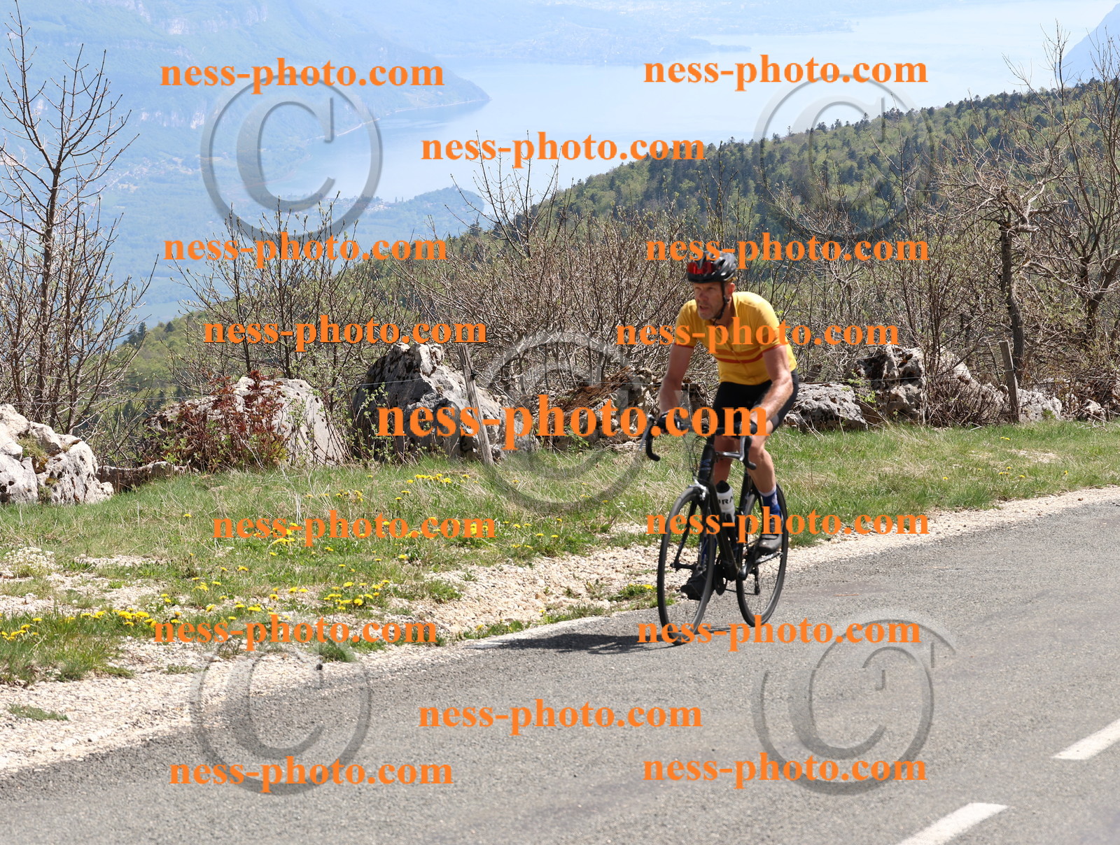 Col du Grand Colombier (914).JPG