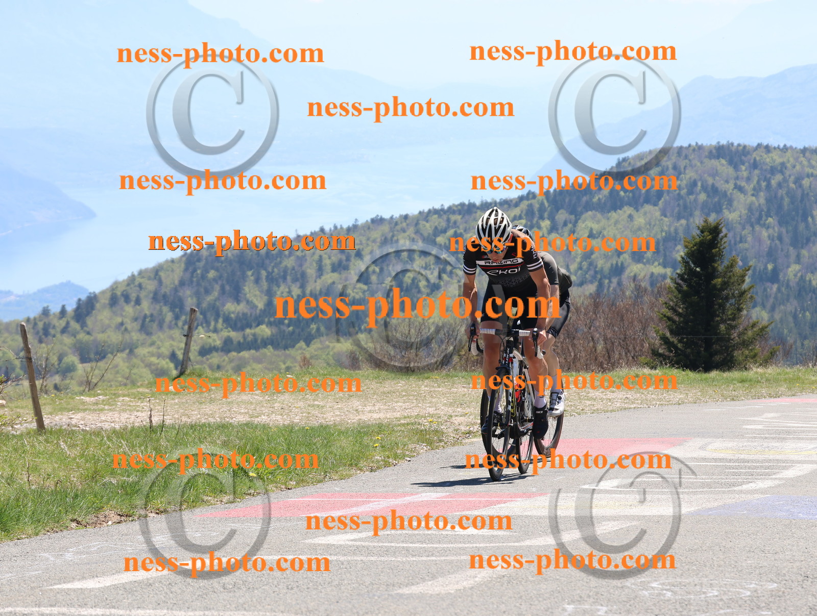 Col du Grand Colombier (694).JPG