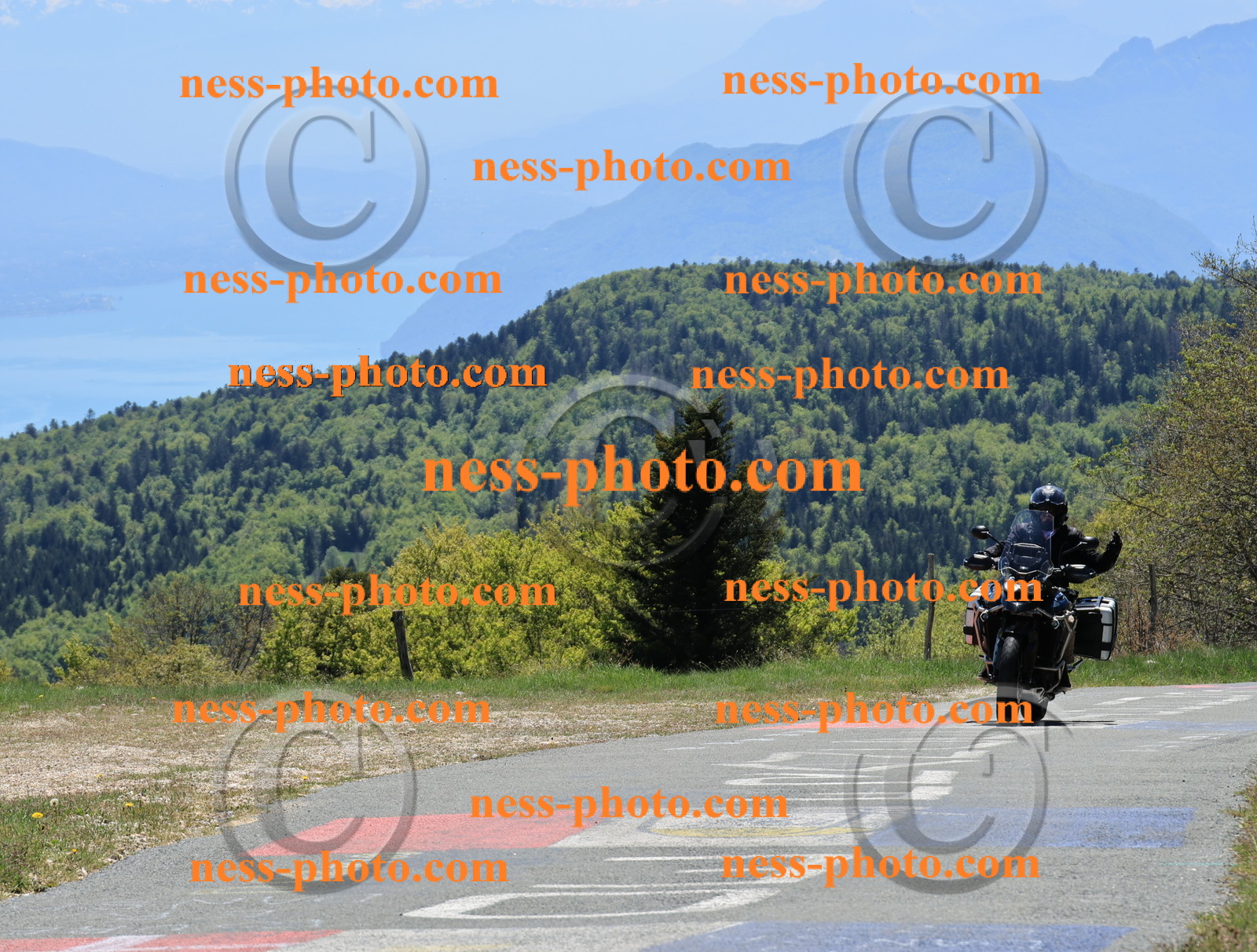 Col du Grand Colombier (217).JPG