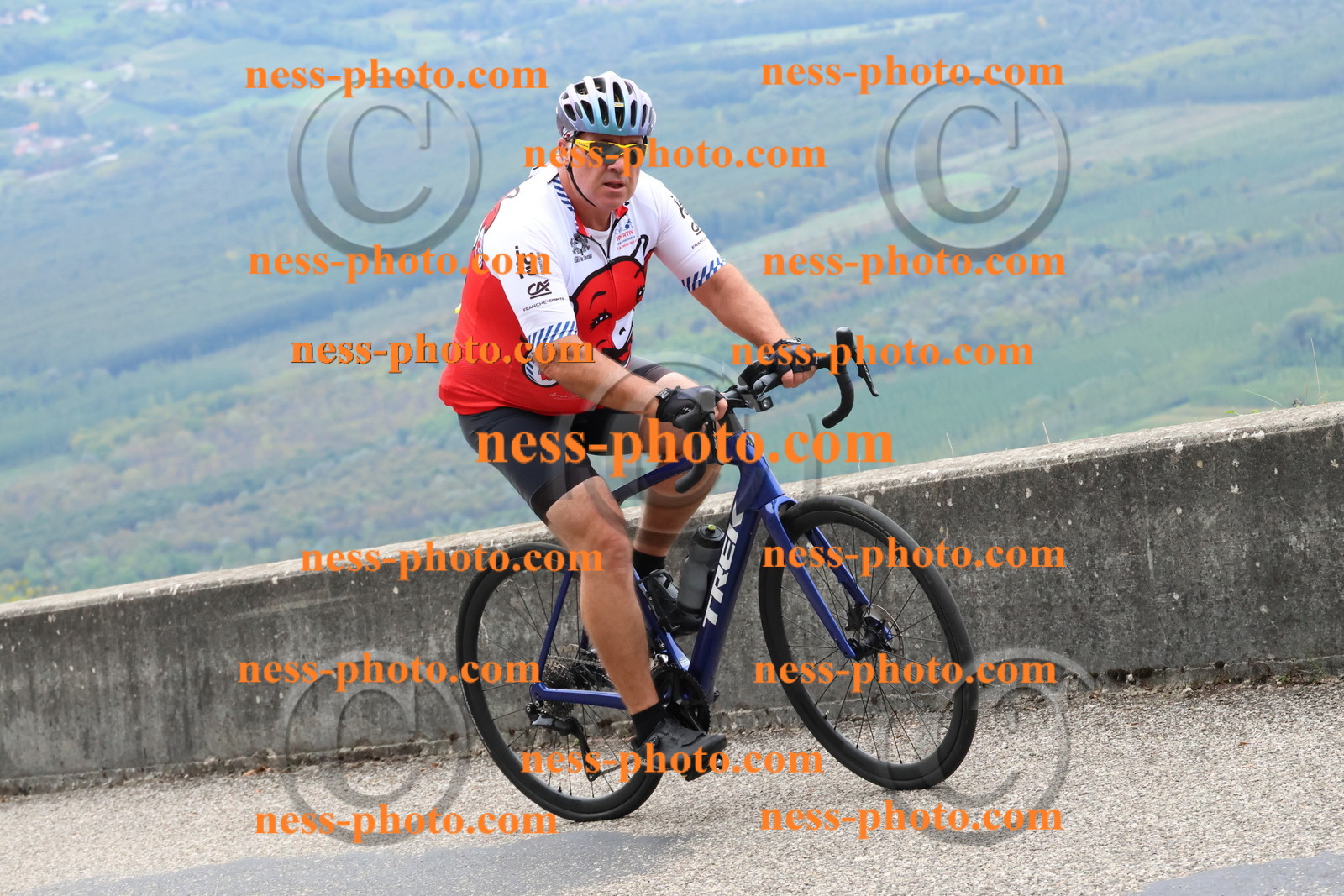 Col du Grand Colombier (396).JPG