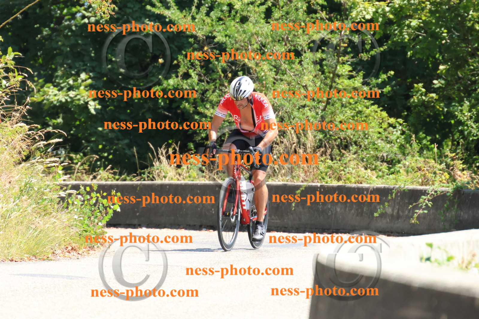 Col du Grand Colombier (454).JPG