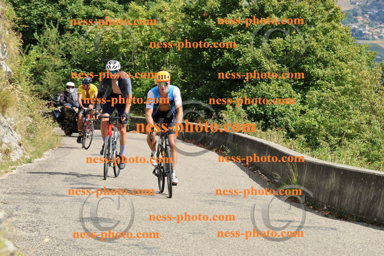 Col du Grand Colombier (458).JPG