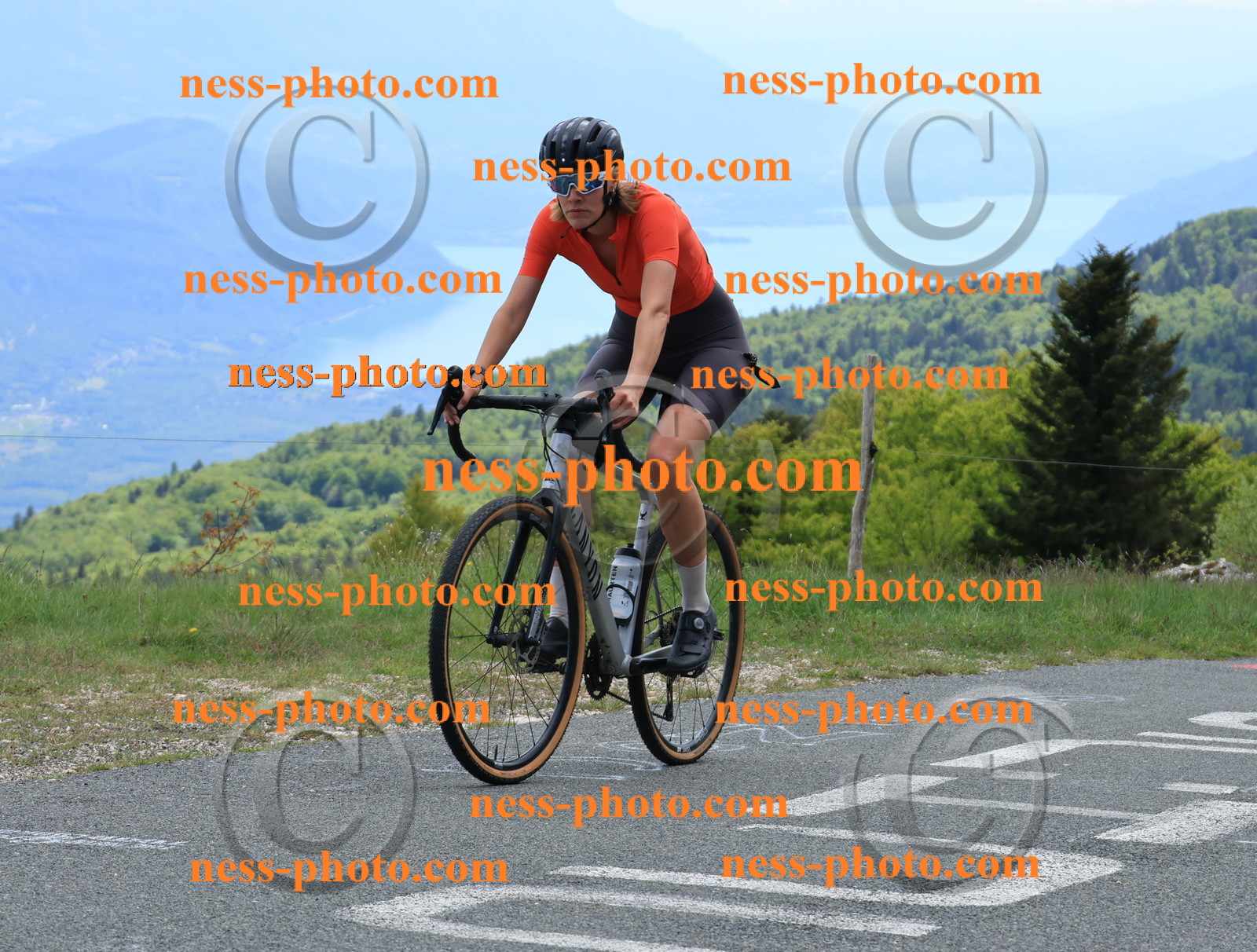 Col du Grand Colombier (394).JPG