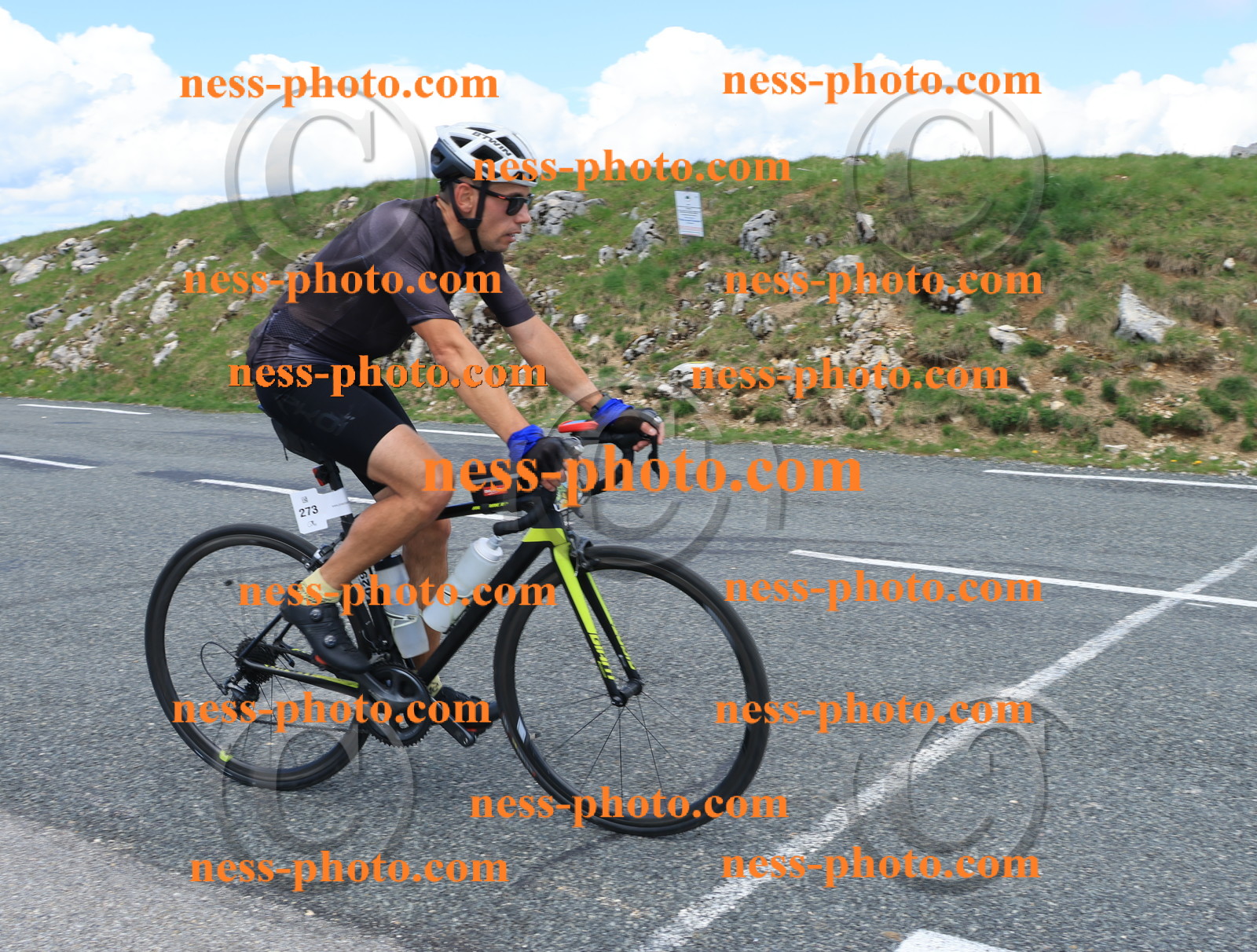 Col du Grand Colombier (2641).JPG