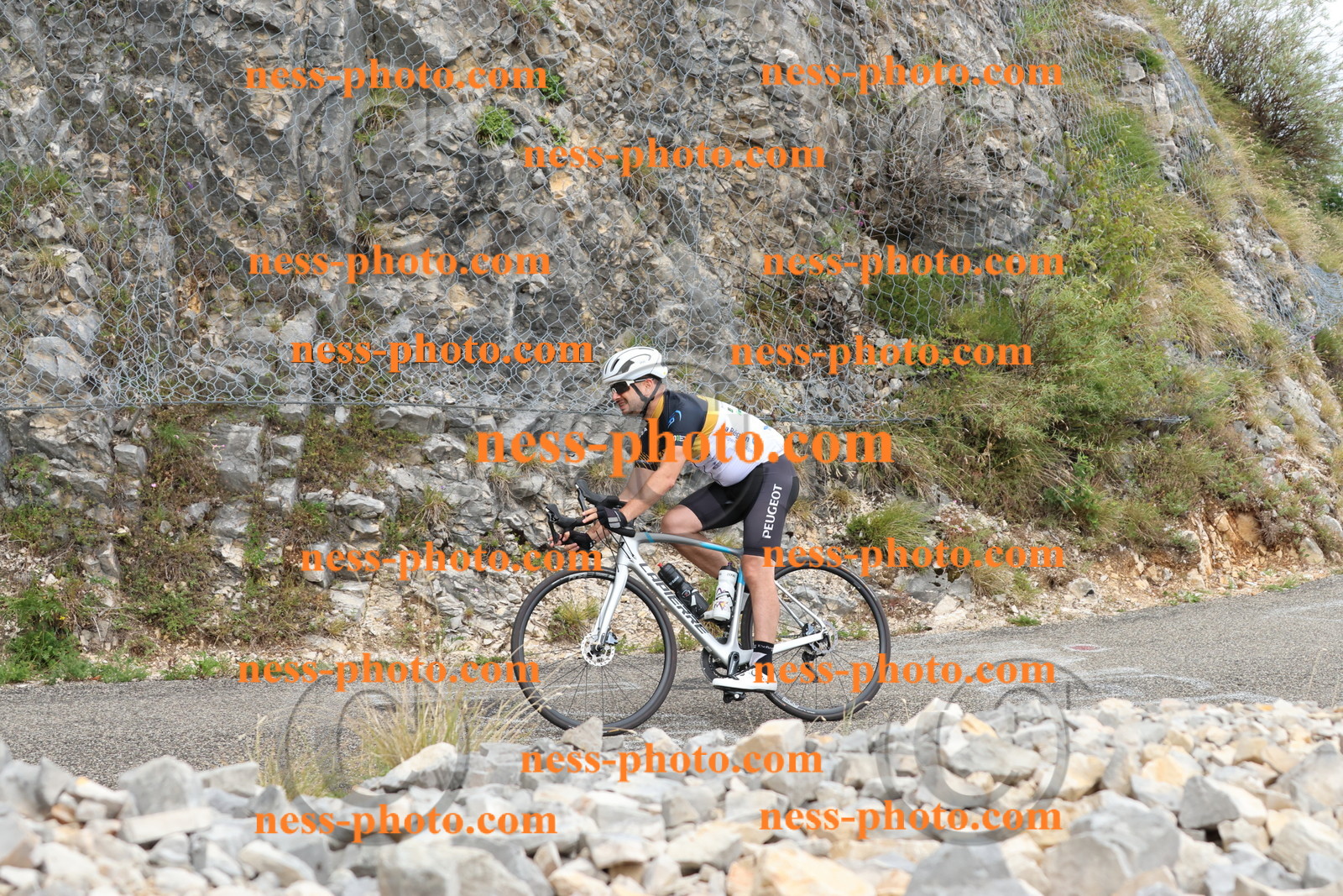 Col du Grand Colombier  (819).JPG