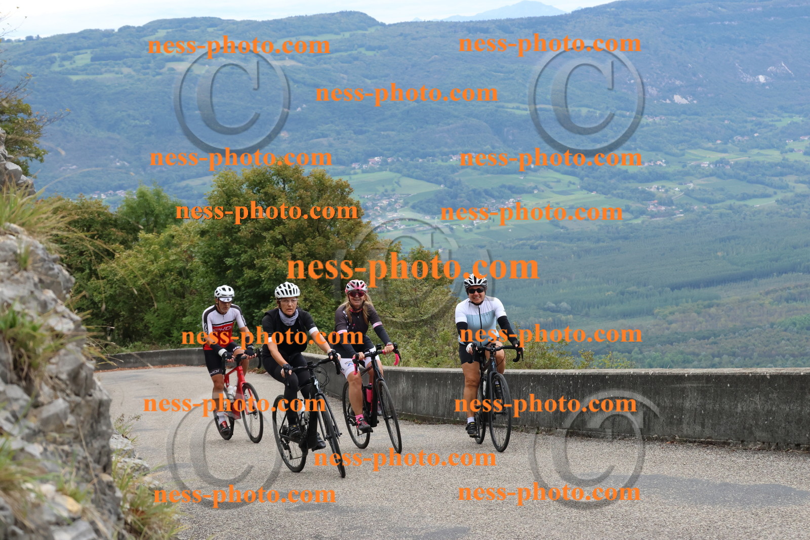 Col du Grand Colombier (1460).JPG