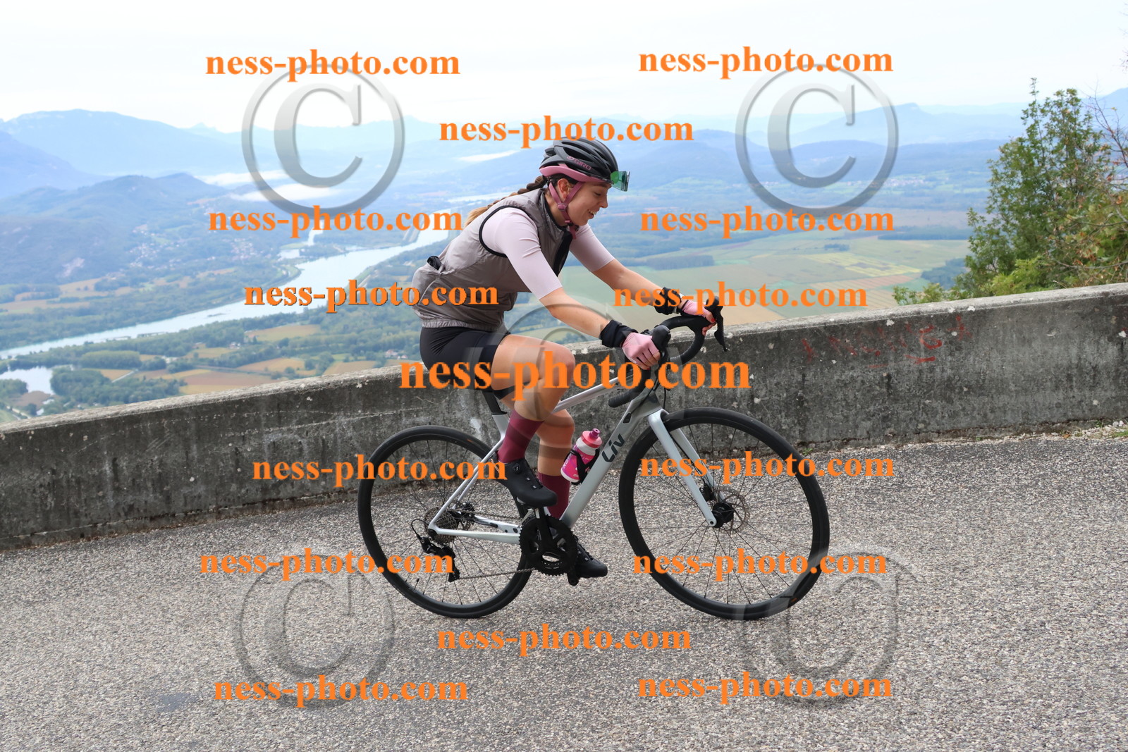 Col du Grand Colombier (1395).JPG