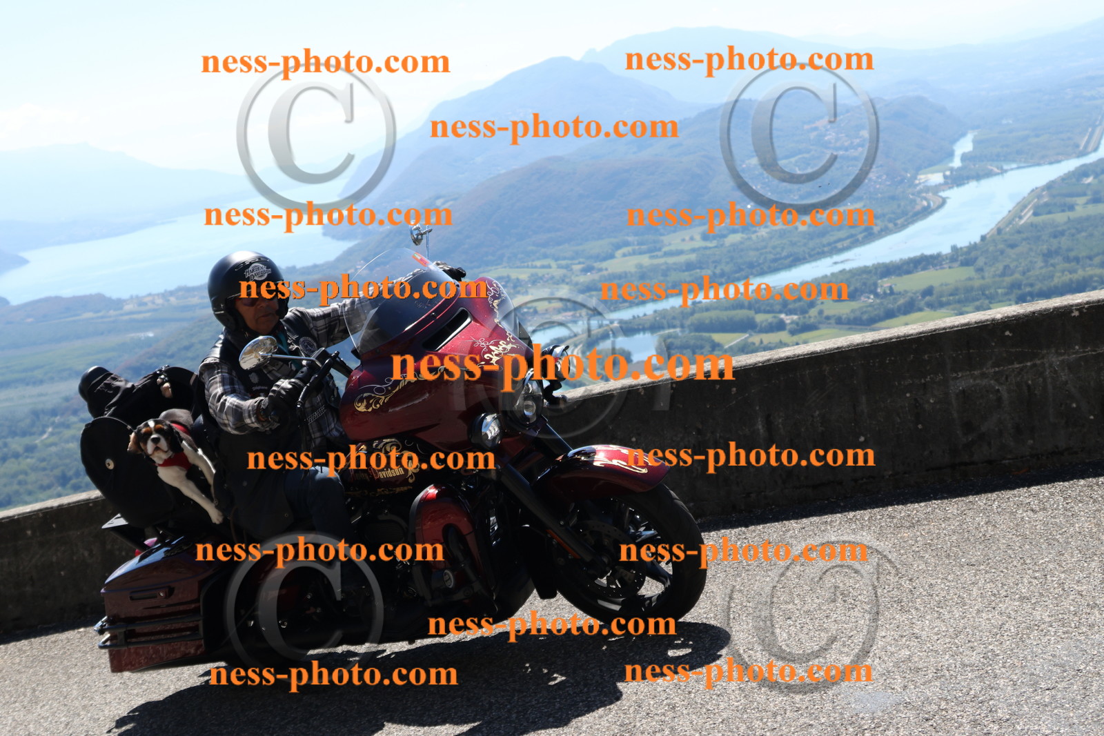 Col du Grand Colombier (267).JPG