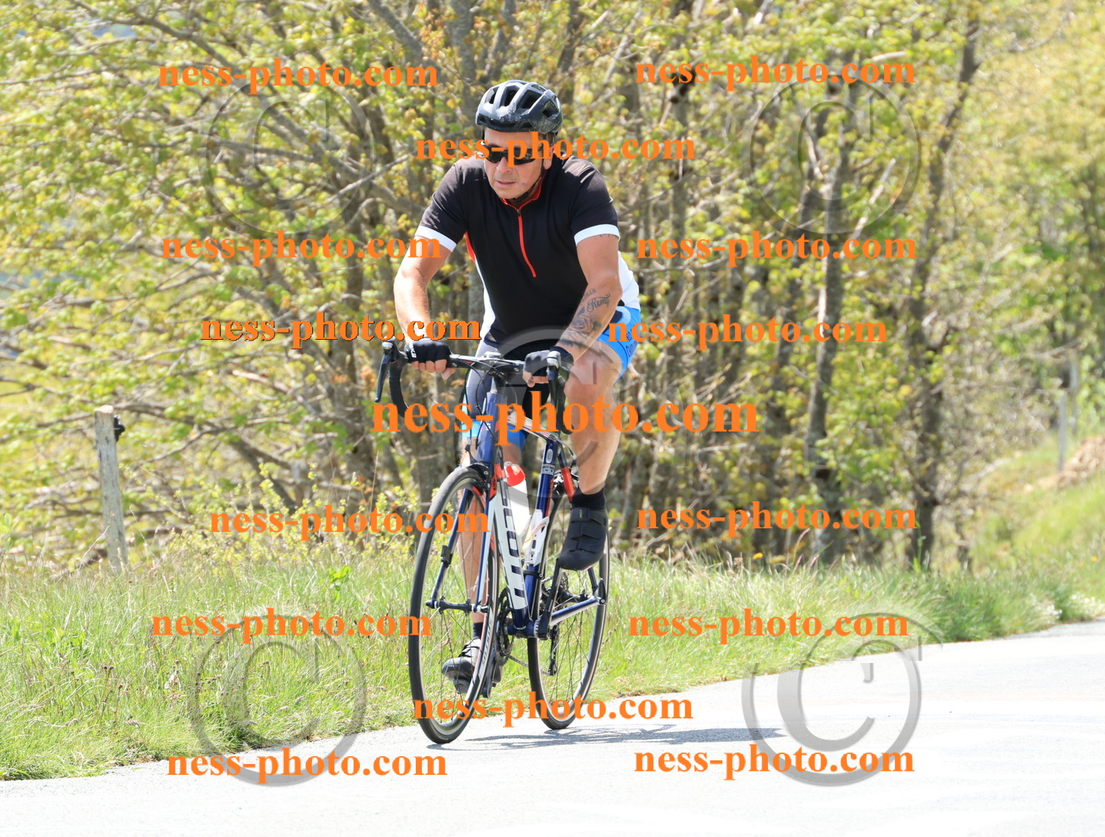 Col du Grand Colombier (236).JPG