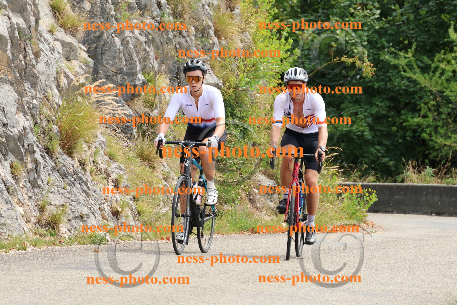 Col du Grand Colombier (248).JPG