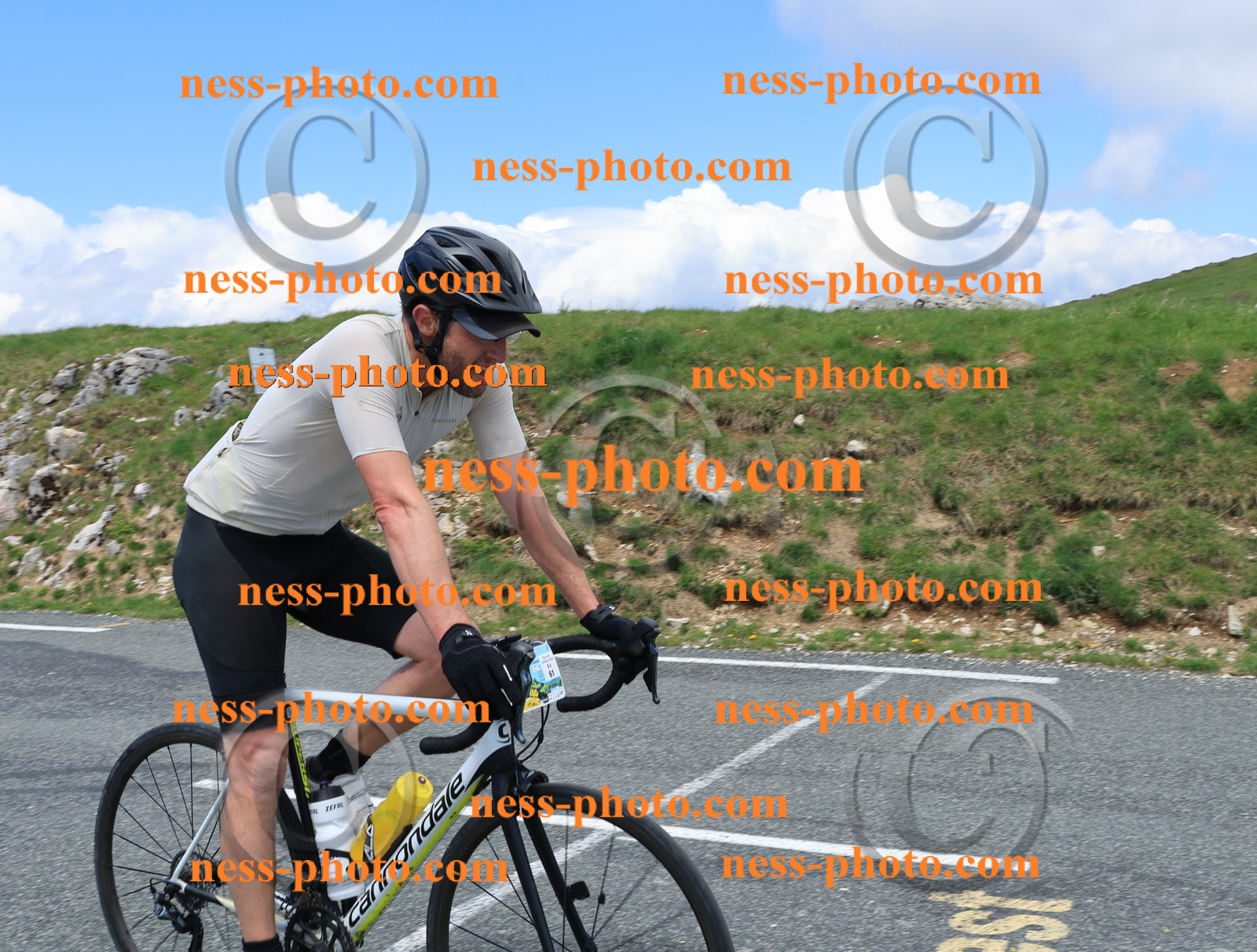 Col du Grand Colombier (2749).JPG