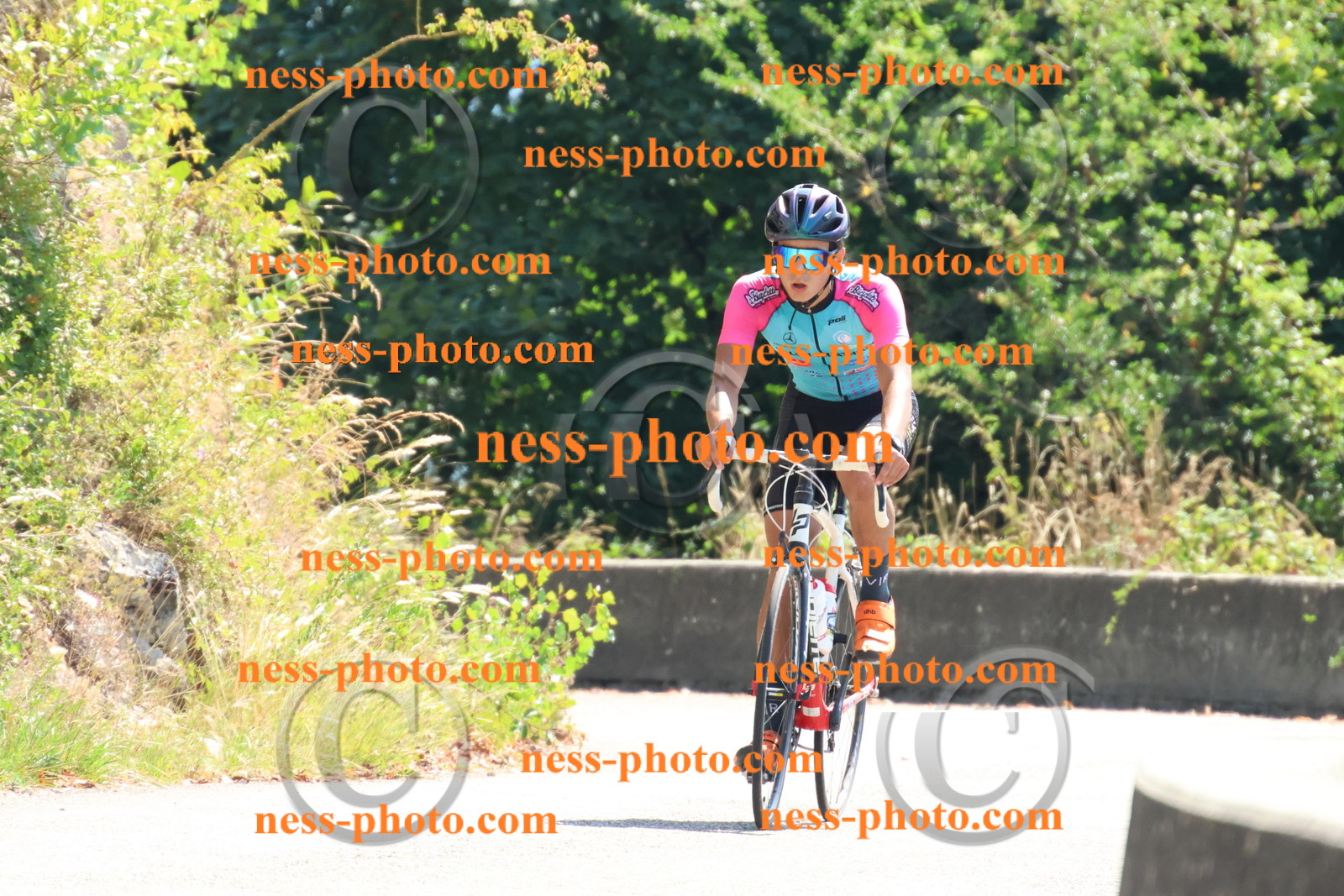 Col du Grand Colombier (270).JPG