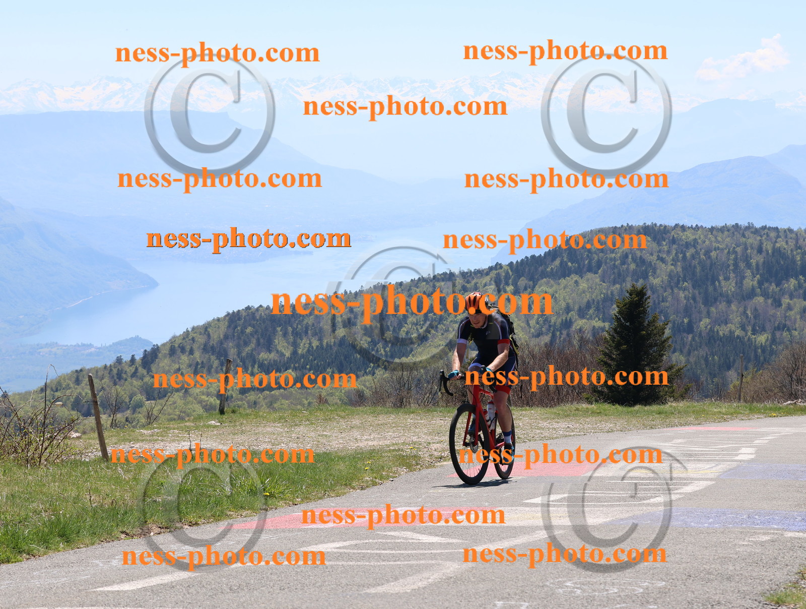 Col du Grand Colombier (512).JPG