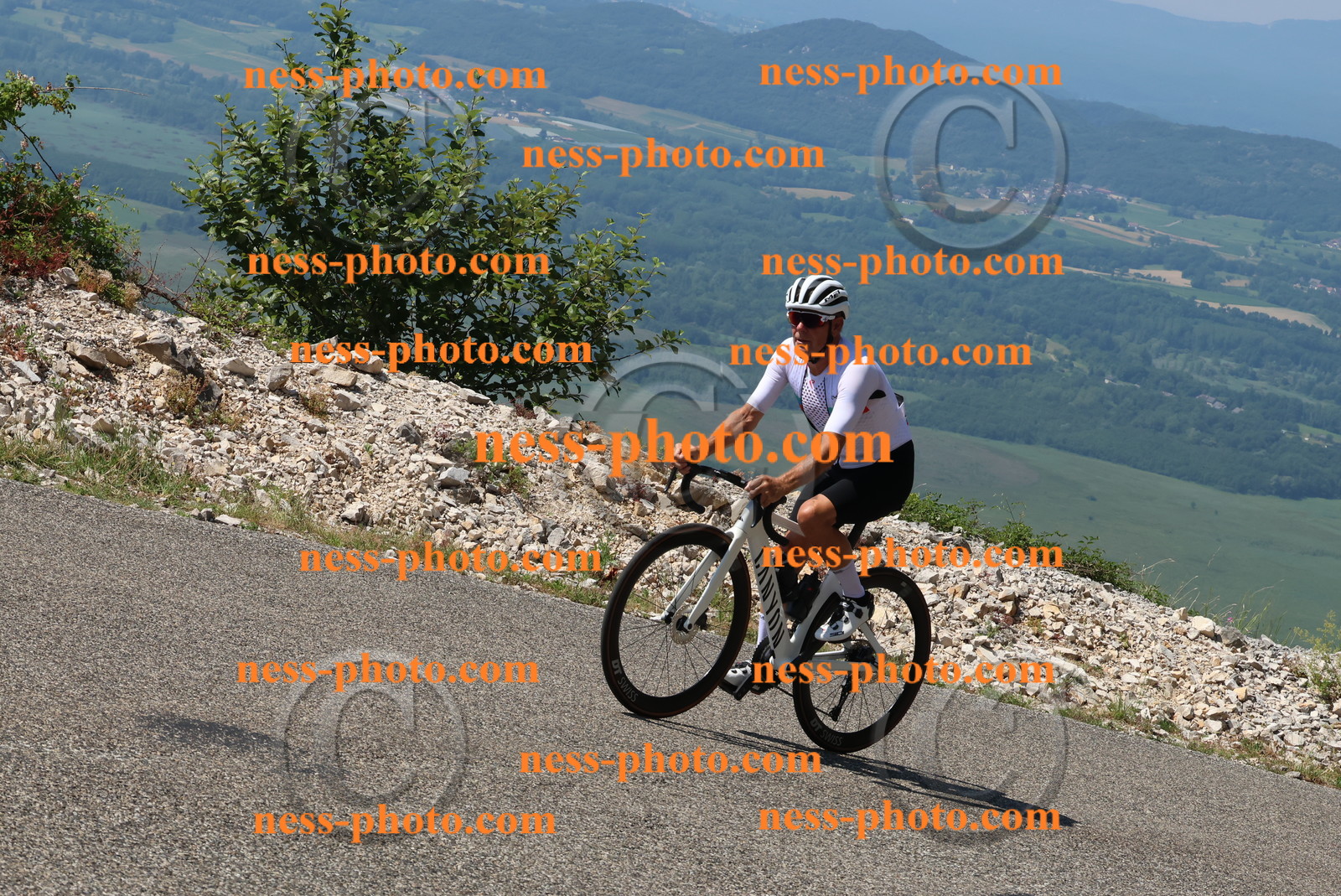 Col du Grand Colombier (355).JPG