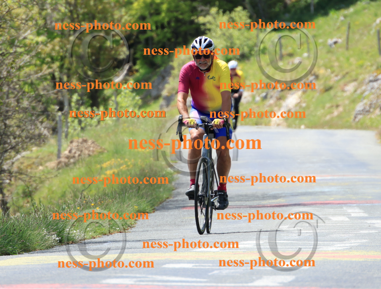 Col du Grand Colombier (199).JPG