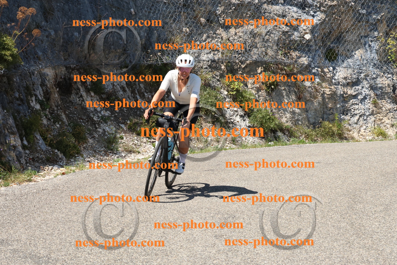 Col du Grand Colombier (614).JPG