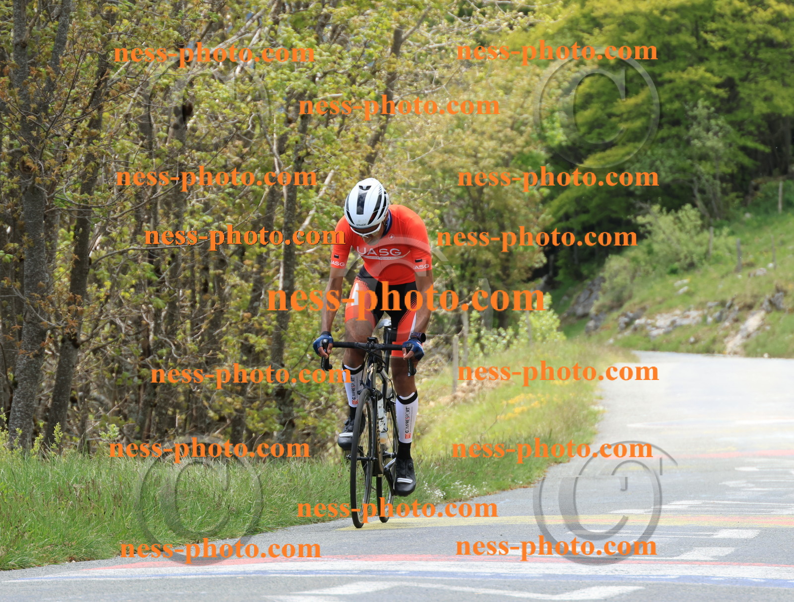 Col du Grand Colombier (495).JPG