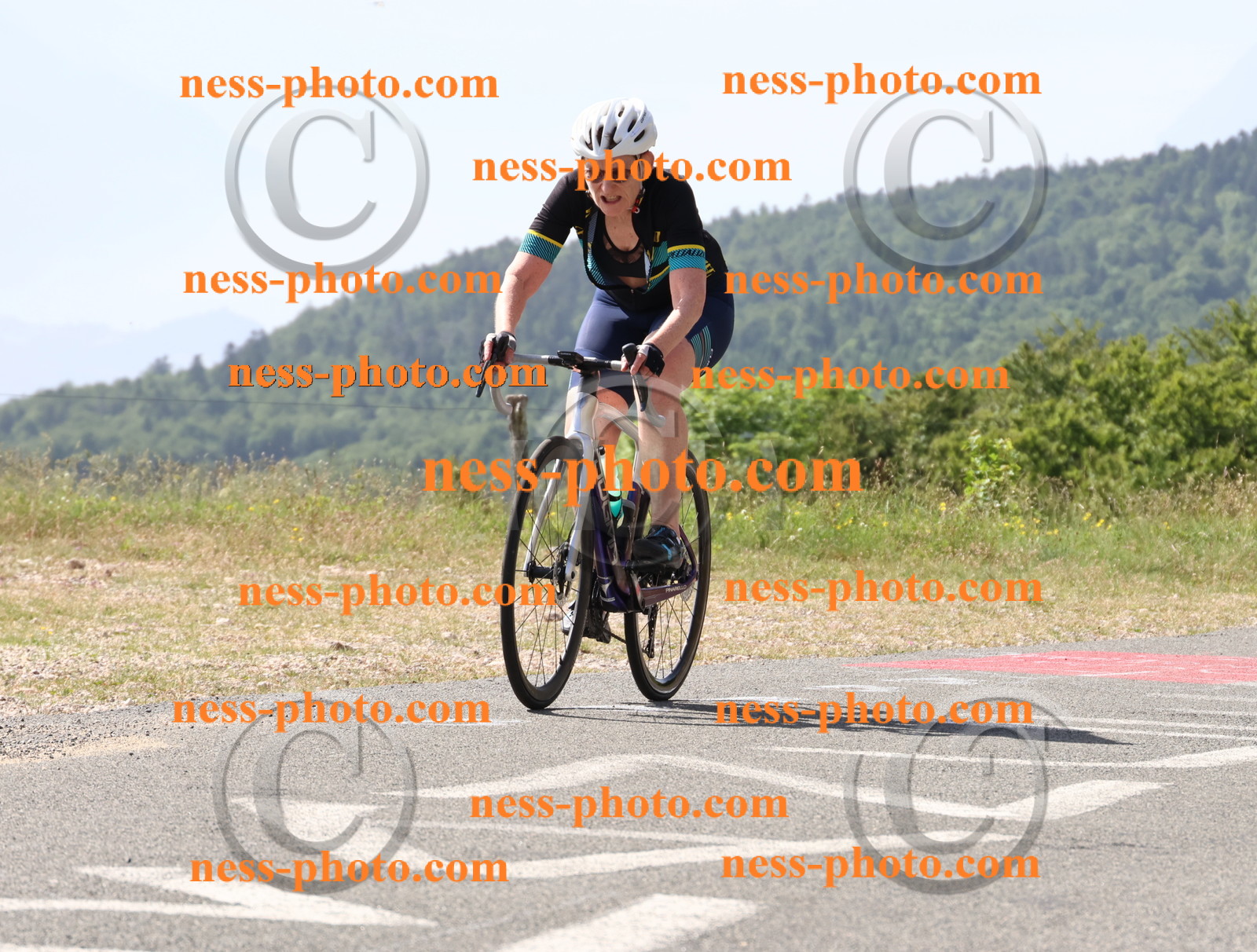 Col du grand Colombier (763).JPG