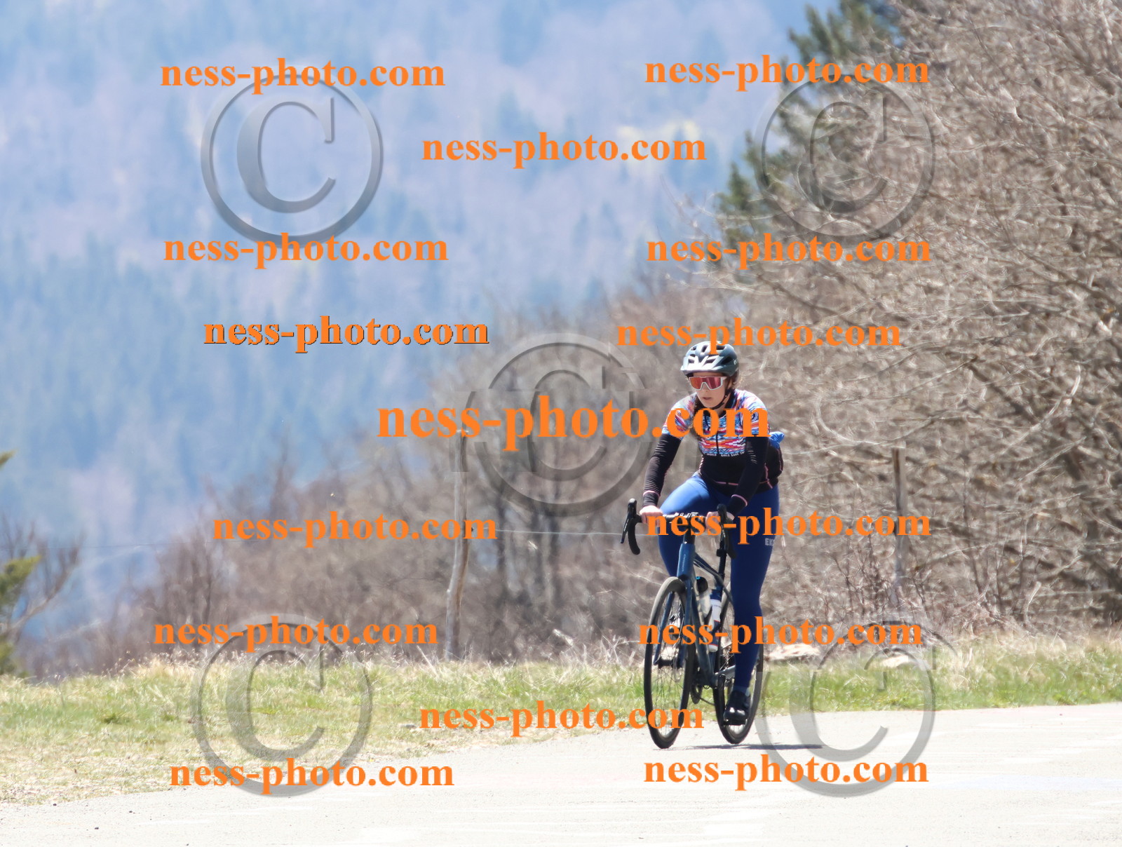 Col du Grand Colombier (237).JPG