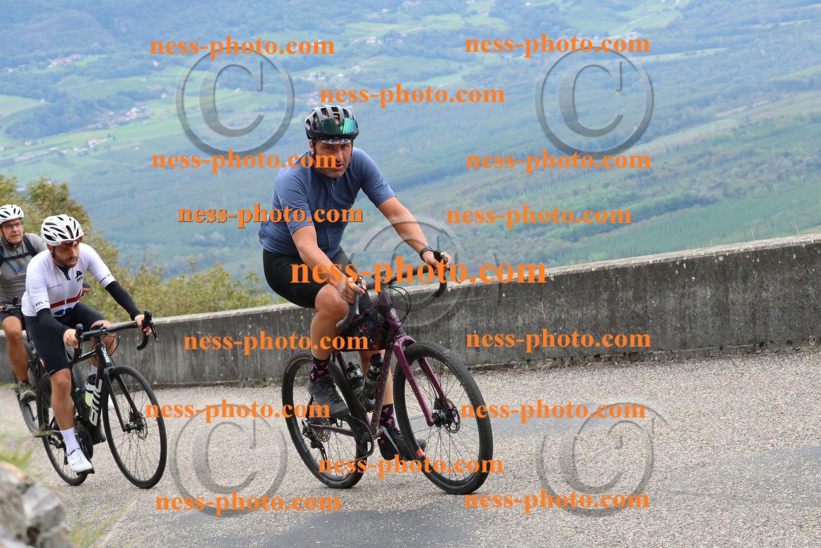 Col du Grand Colombier (1137).JPG