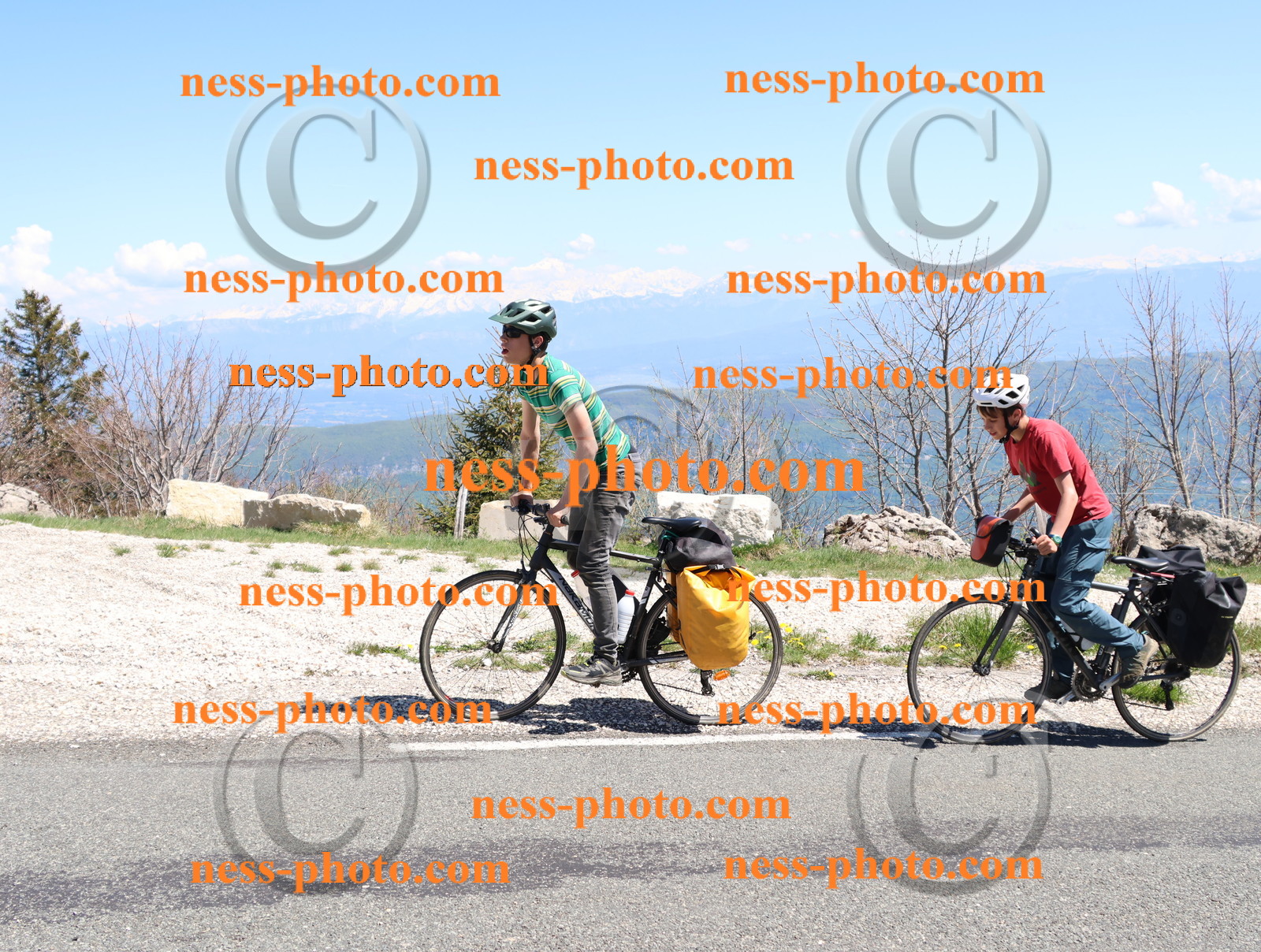 Col du Grand Colombier (821).JPG