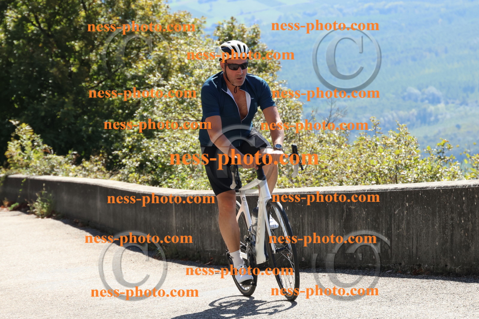 Col du Grand Colombier (318).JPG